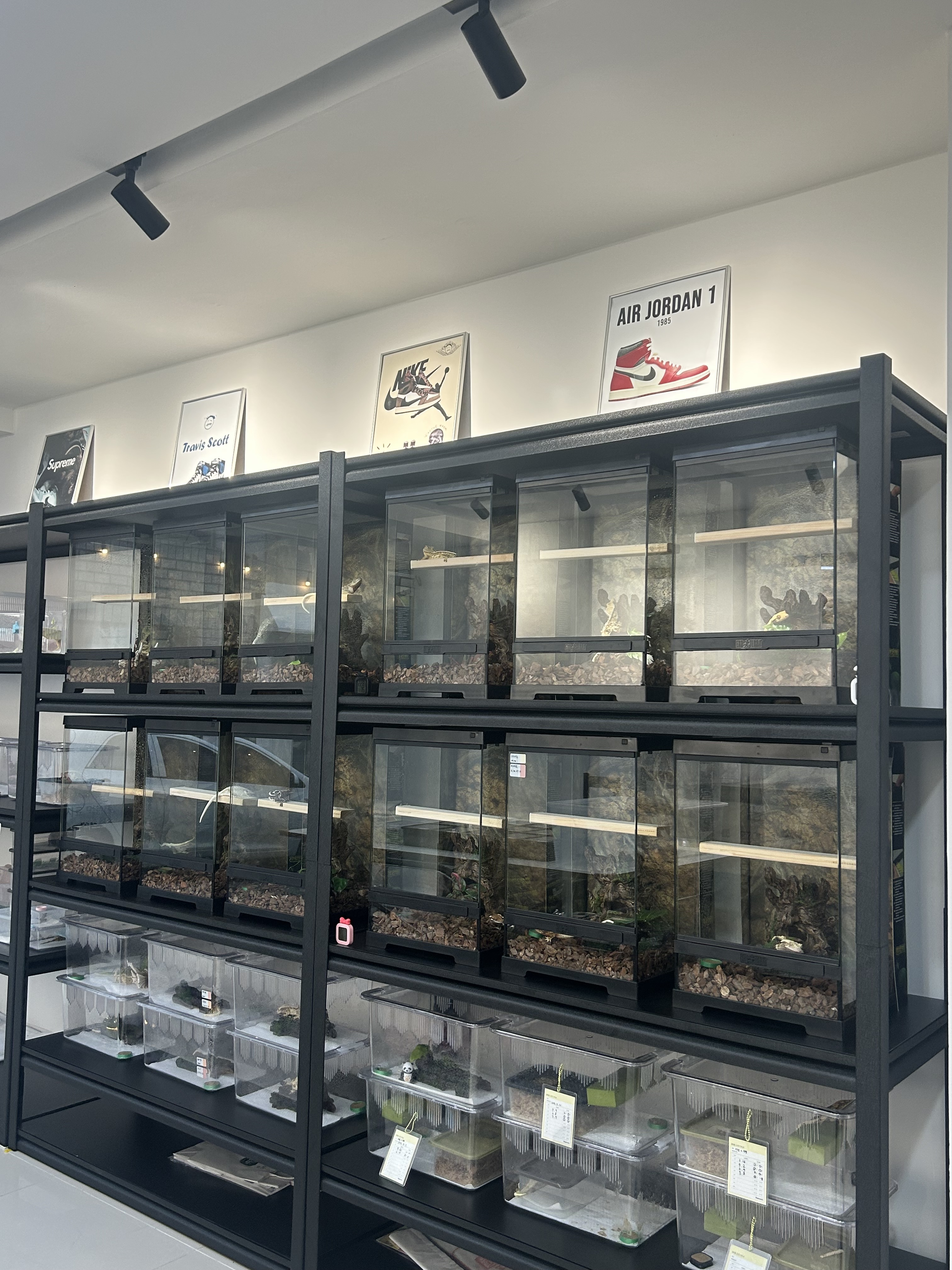 태산렙타일 대표 이미지