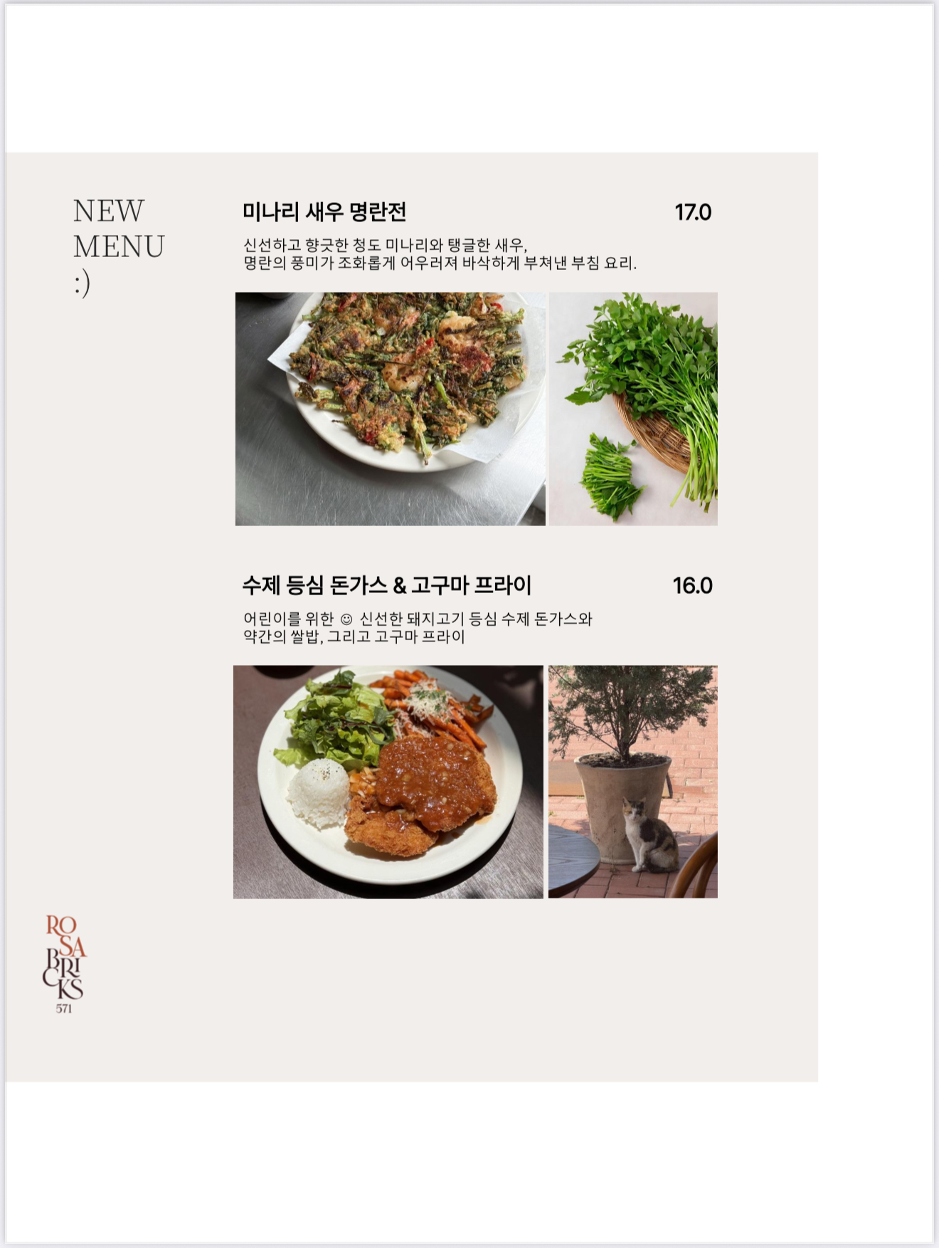 로사브릭스571 2