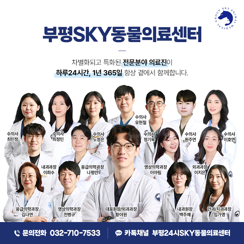 부평24시SKY동물의료센터