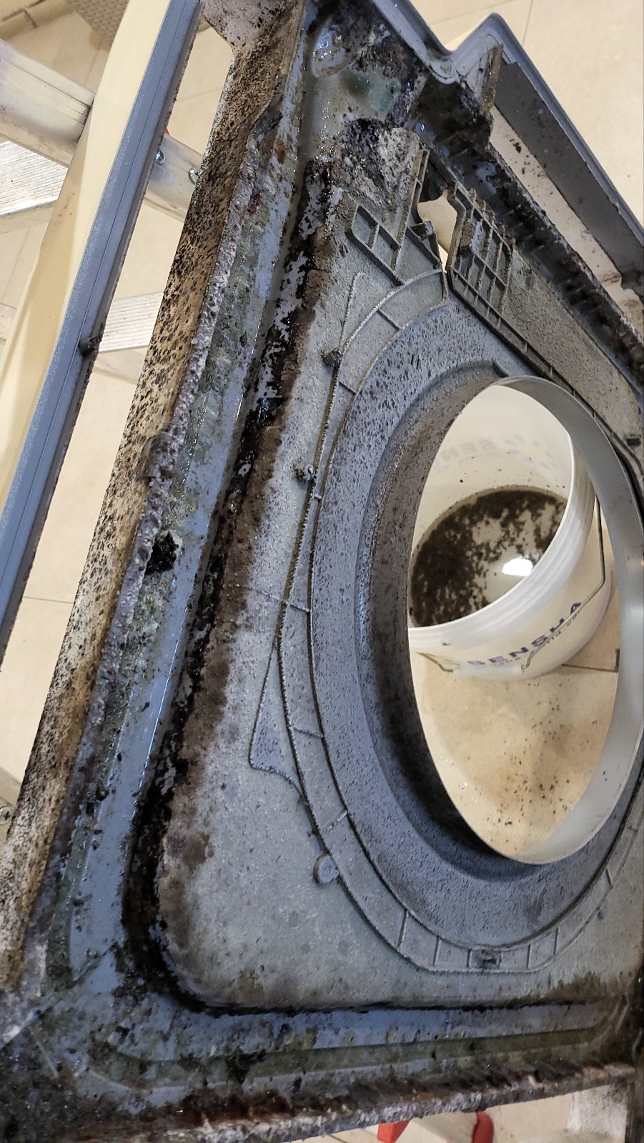 클레누홈 우리집 케어 전문가 대표 이미지