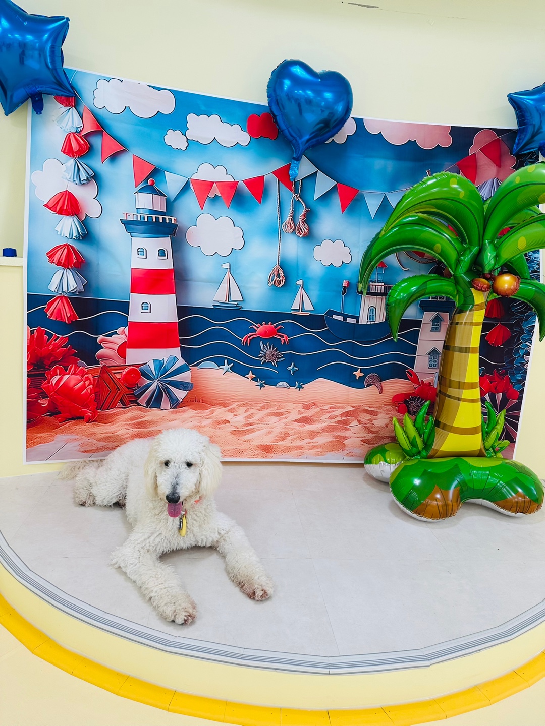 둥글댕둥글댕 대표 이미지