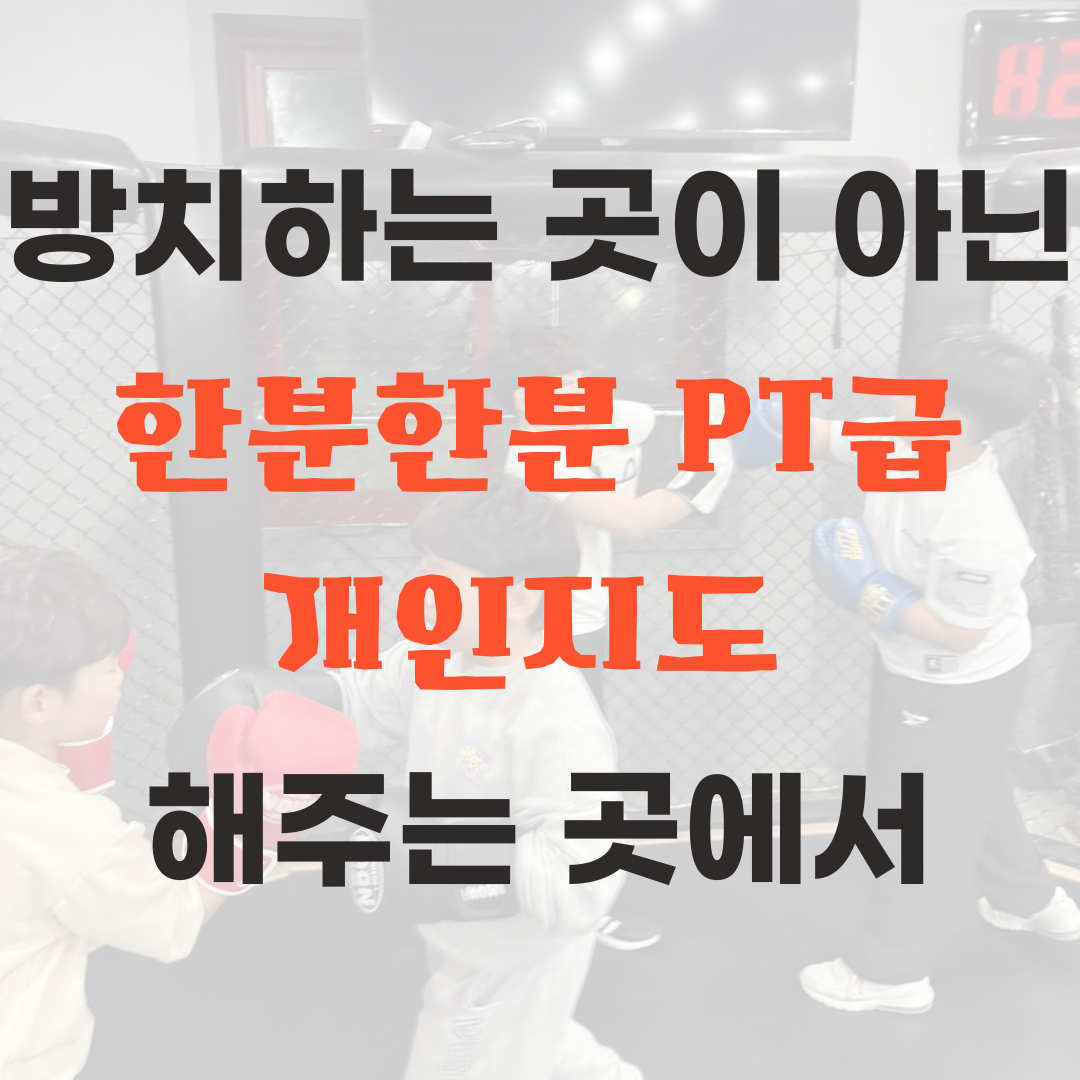 강원 강릉시 연당길 복싱체육관 복싱 스테이 GYM 강릉초당점 내부 모습 3