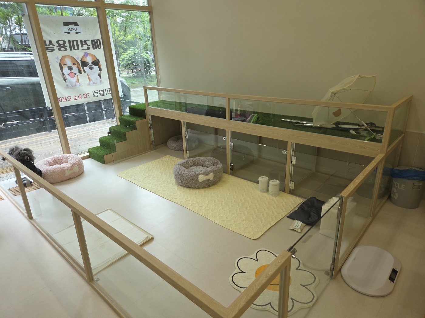 퍼피블링 대표 이미지