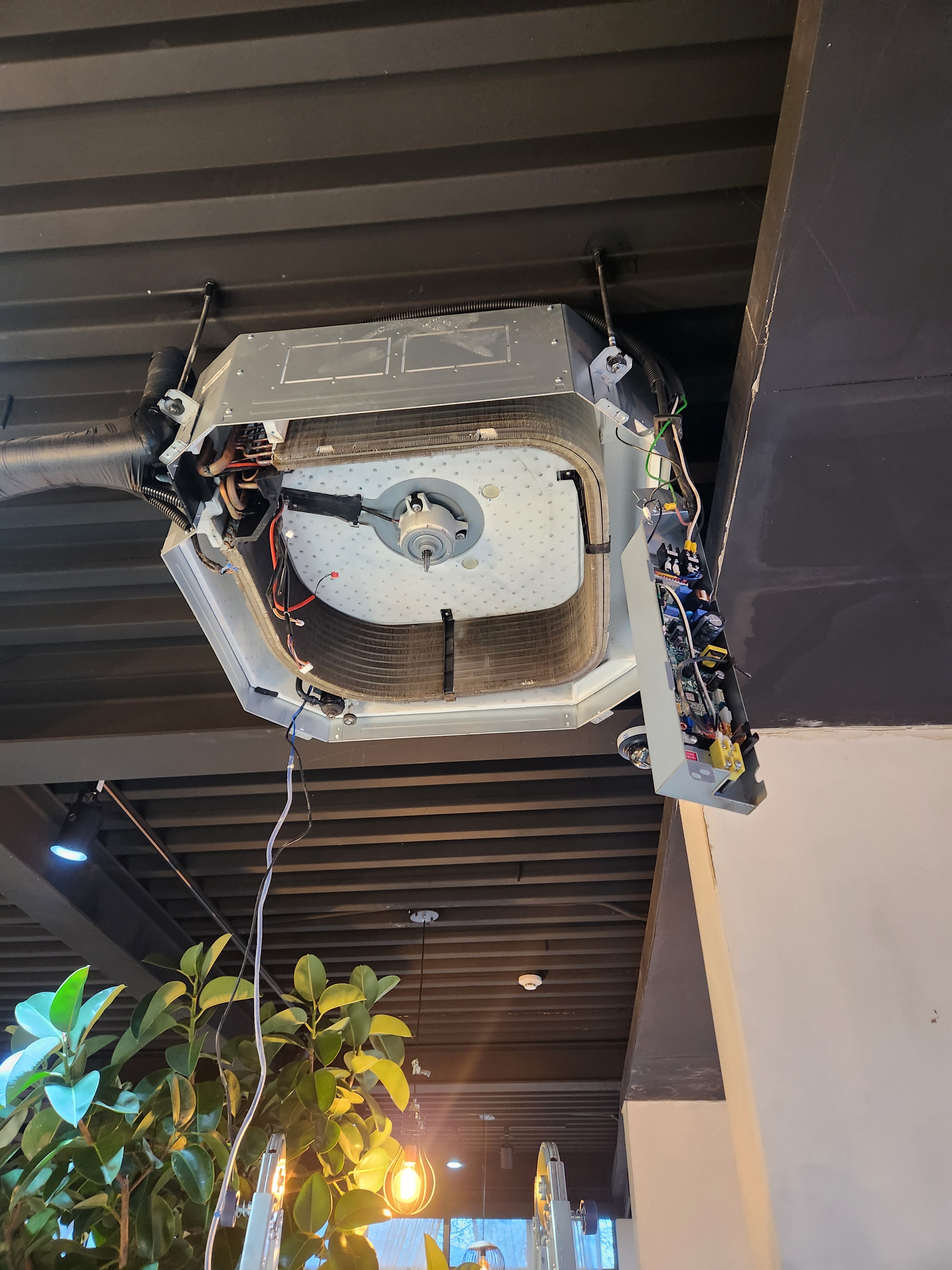 제천 클린업 대표 이미지