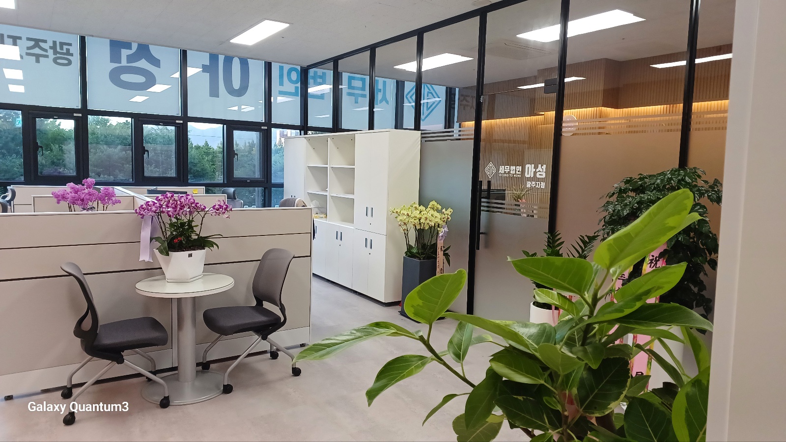 세무법인 아성 광주지점 대표 이미지