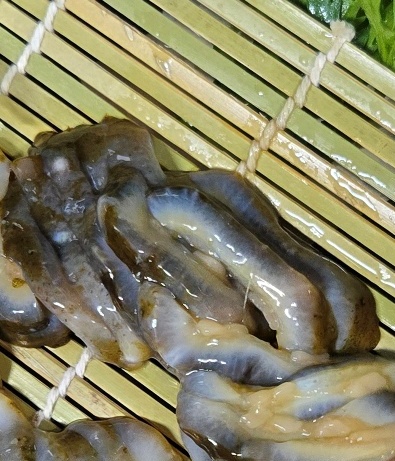 서울대청춘포차