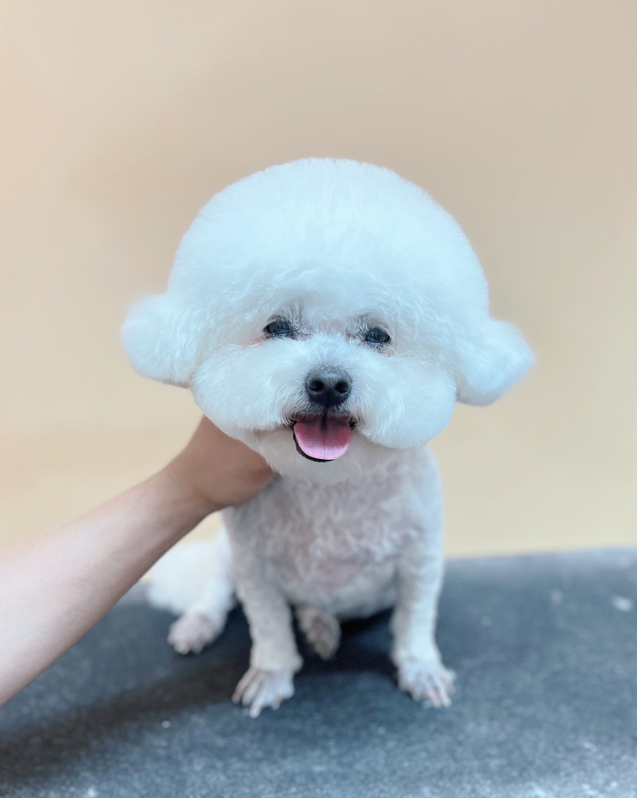 멍스타일 수원 대표 이미지