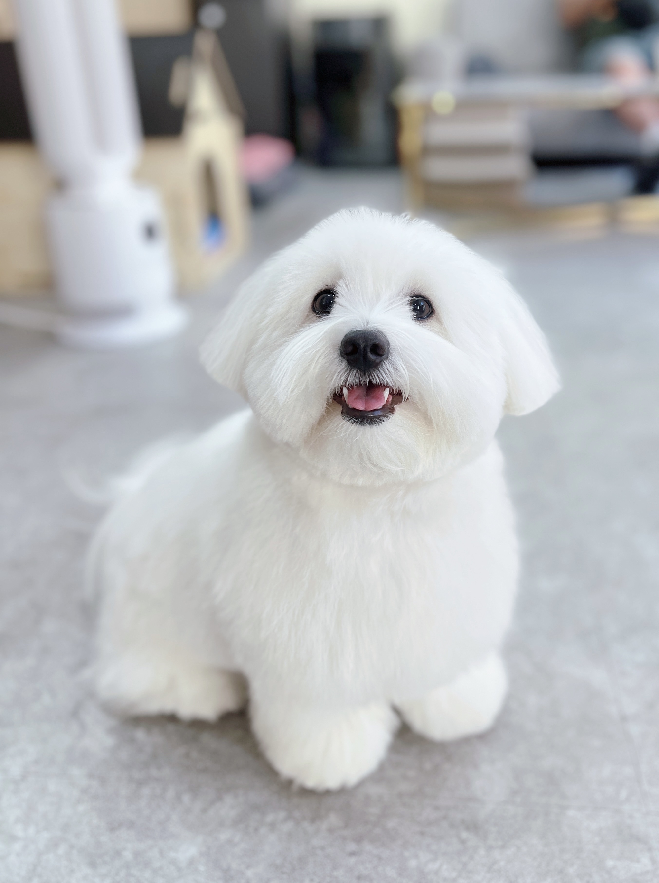 멍스타일 대표 이미지