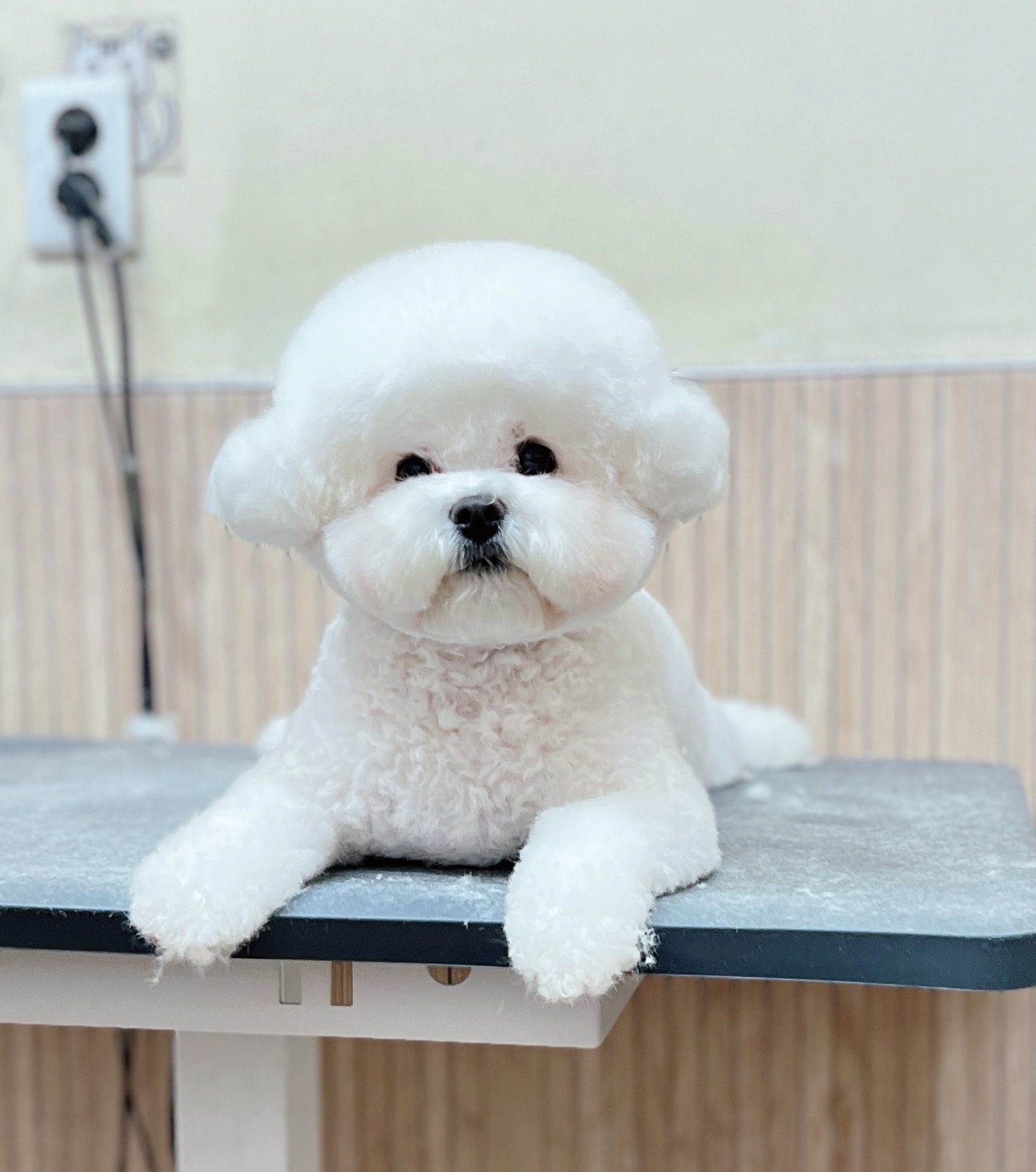 멍스타일 수원 대표 이미지