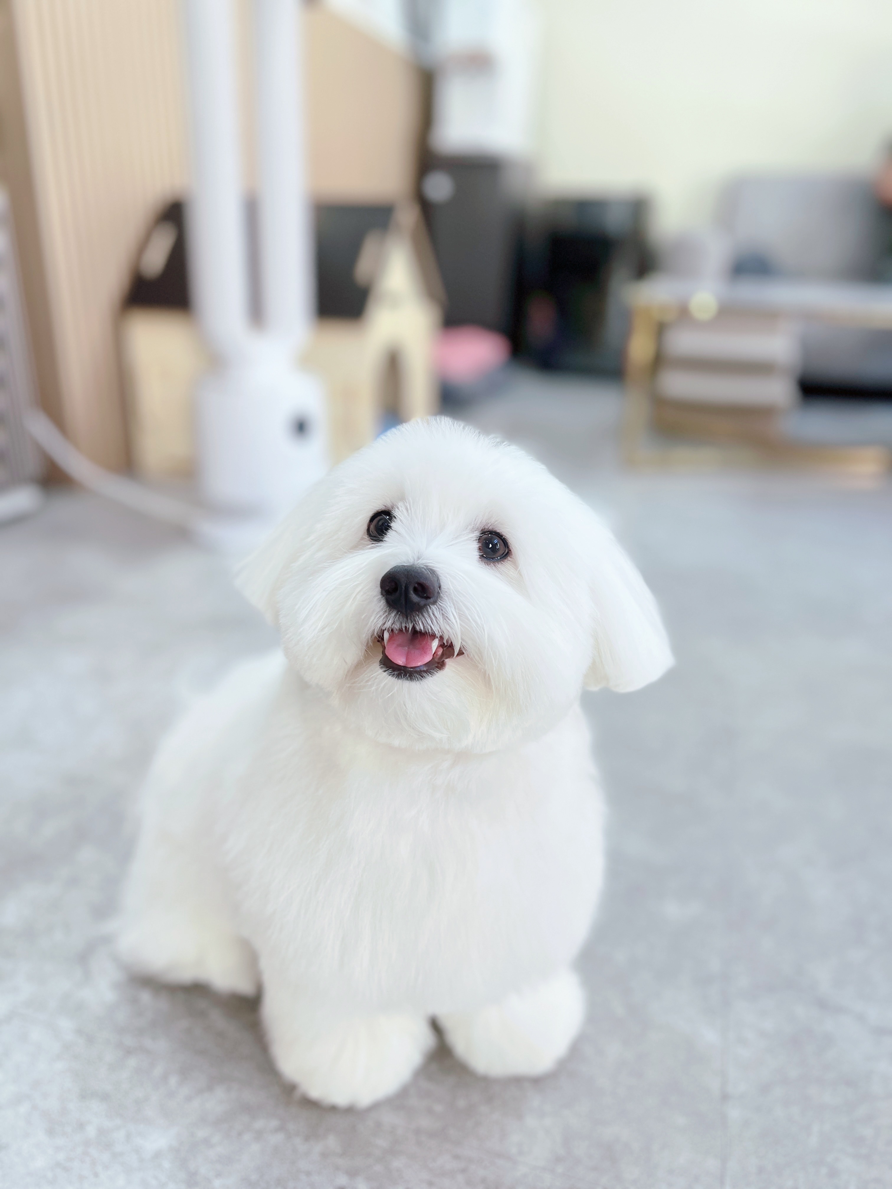 멍스타일 수원 연무동 이미지