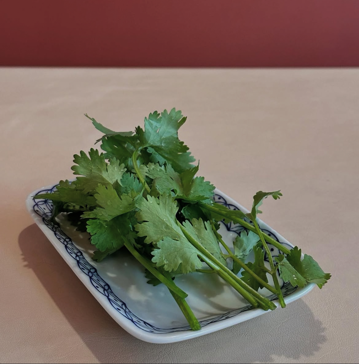 고수의 고수토핑