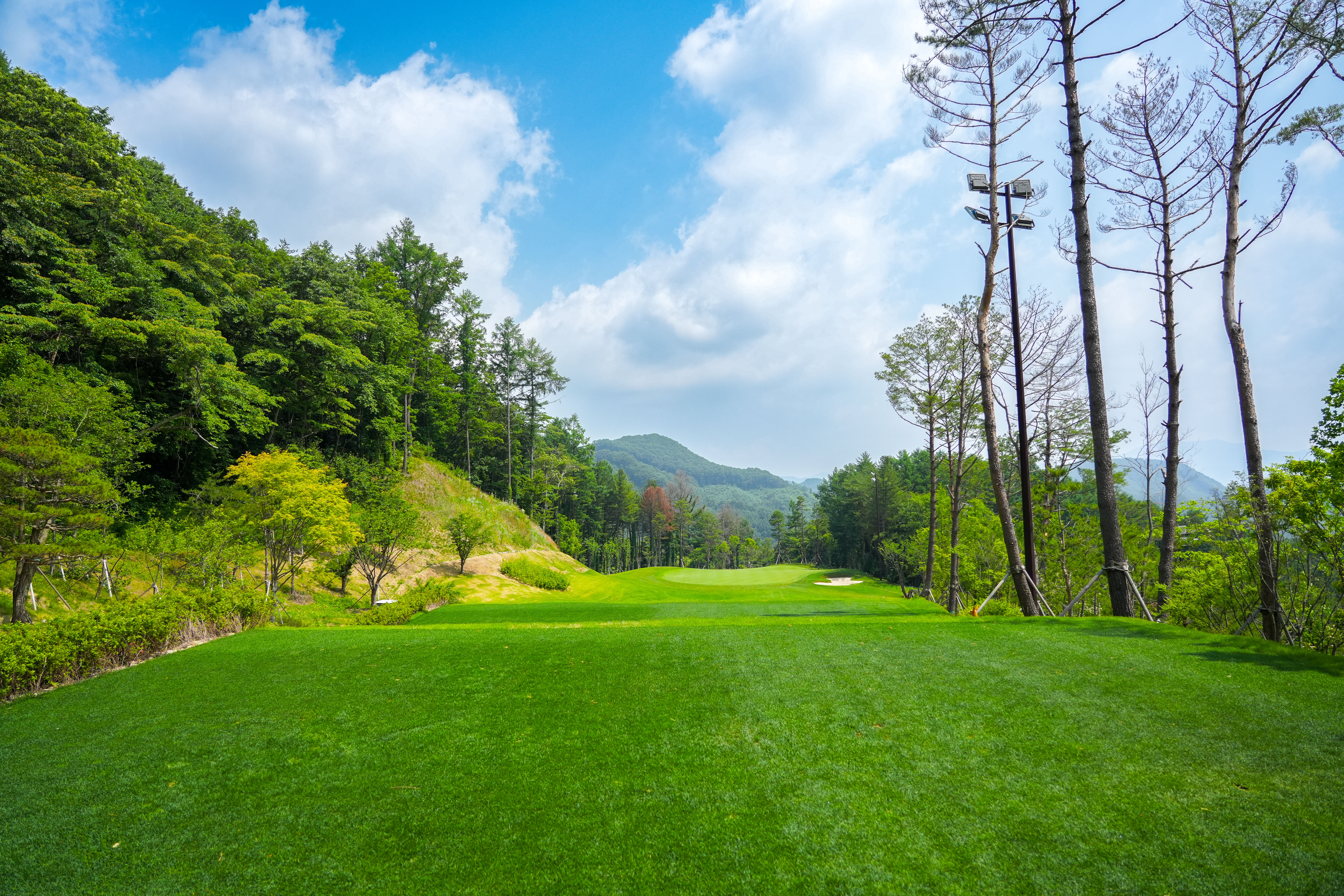 오로라골프앤리조트 대표 이미지