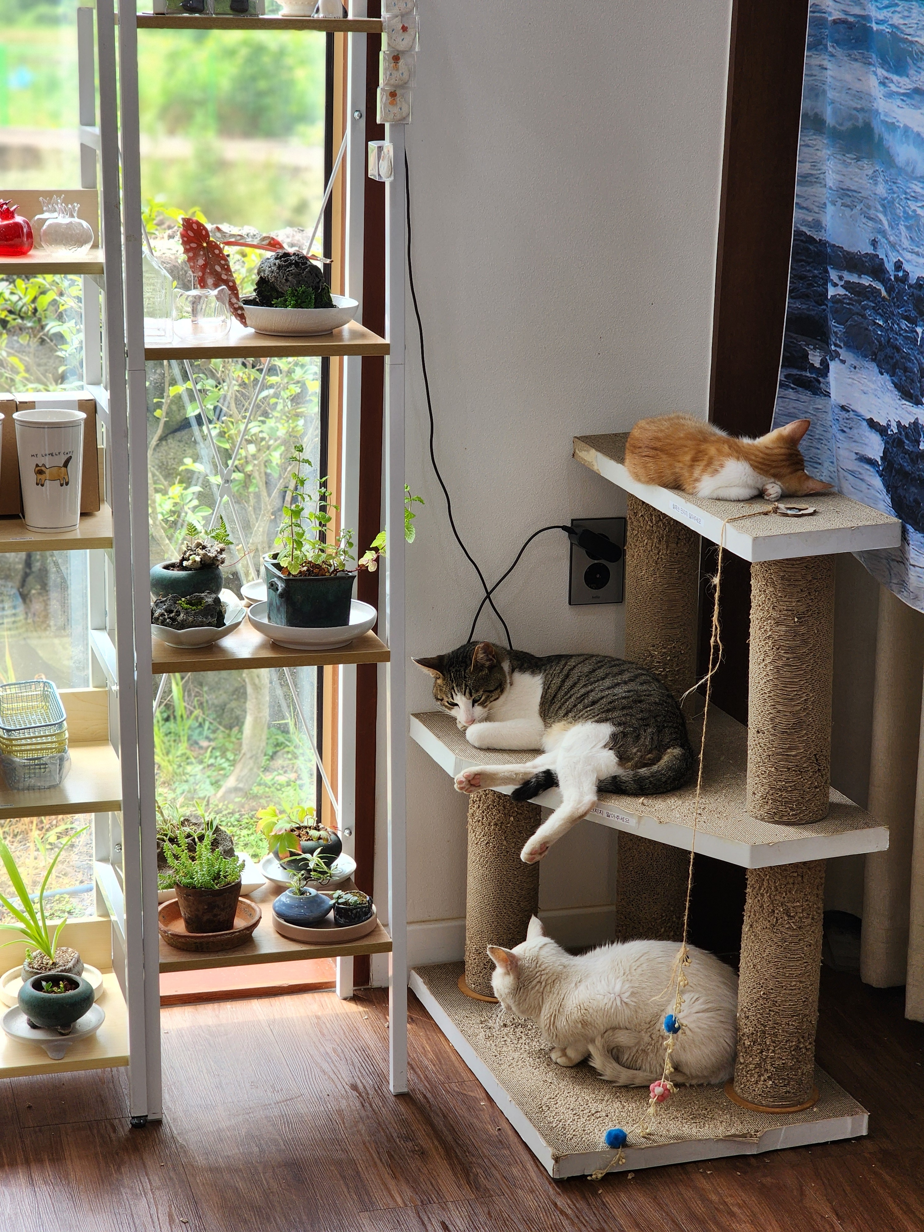 제주소품샵 올망 대표 이미지