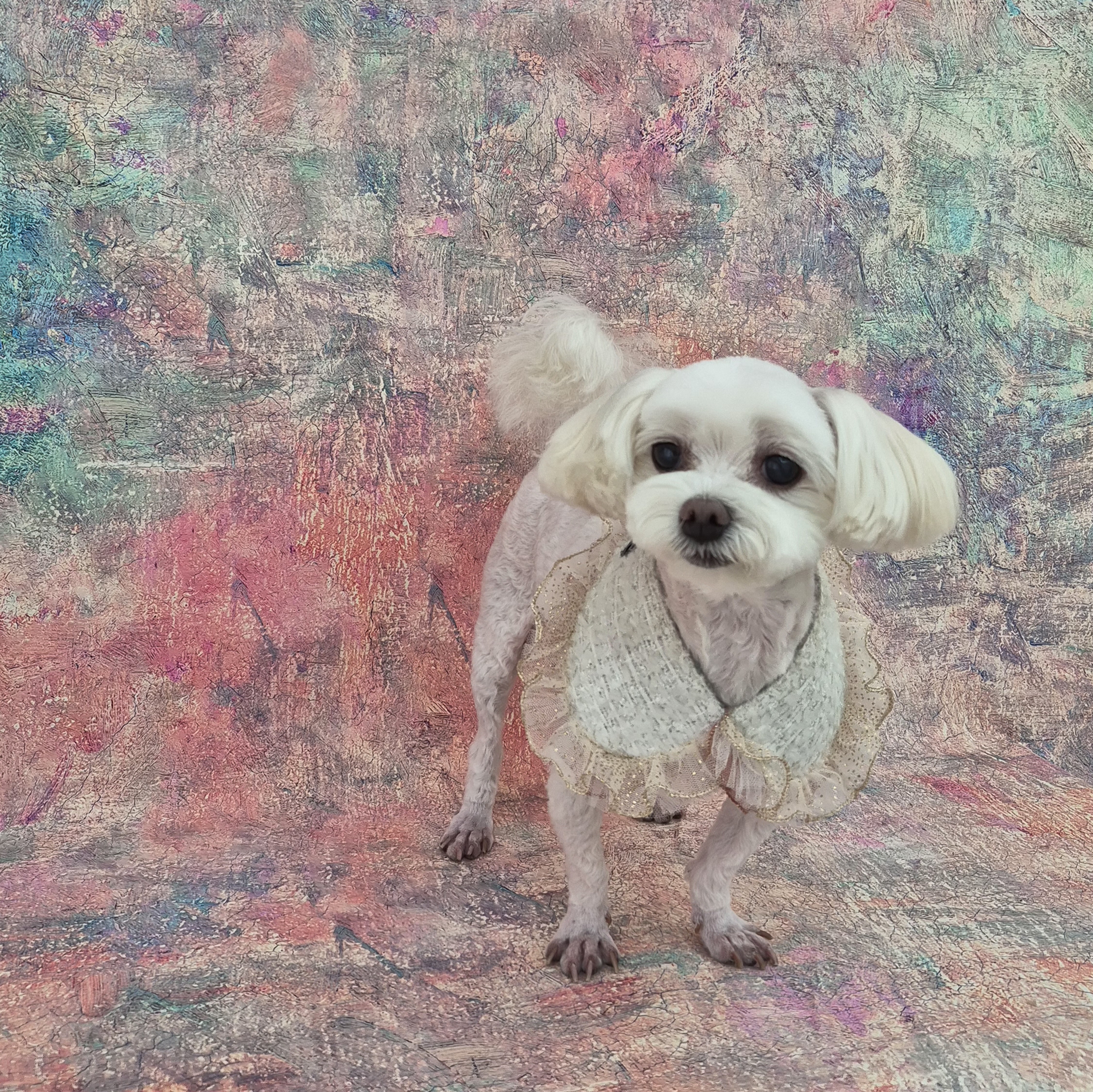 단디단디 대표 이미지