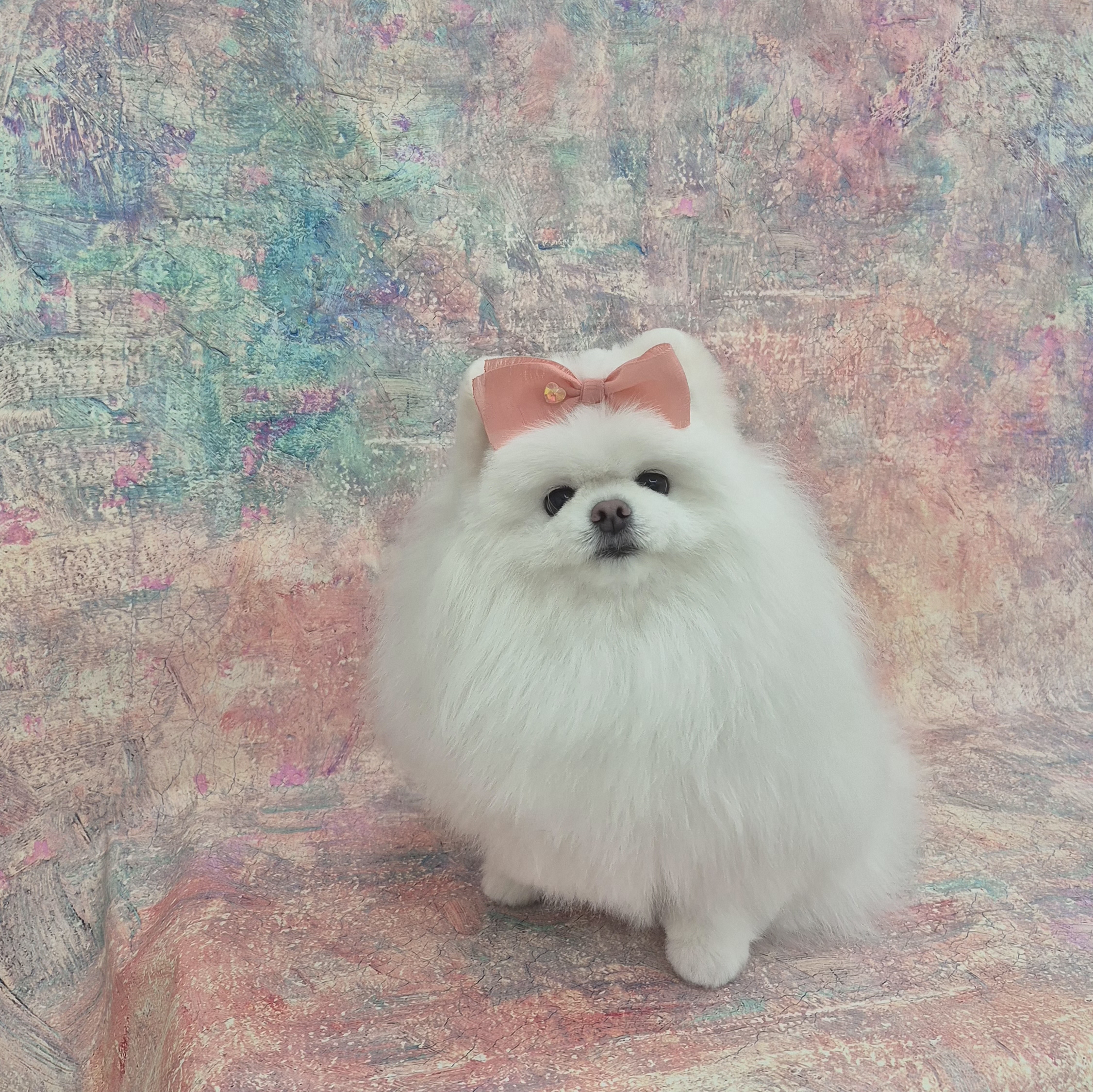 단디단디 대표 이미지