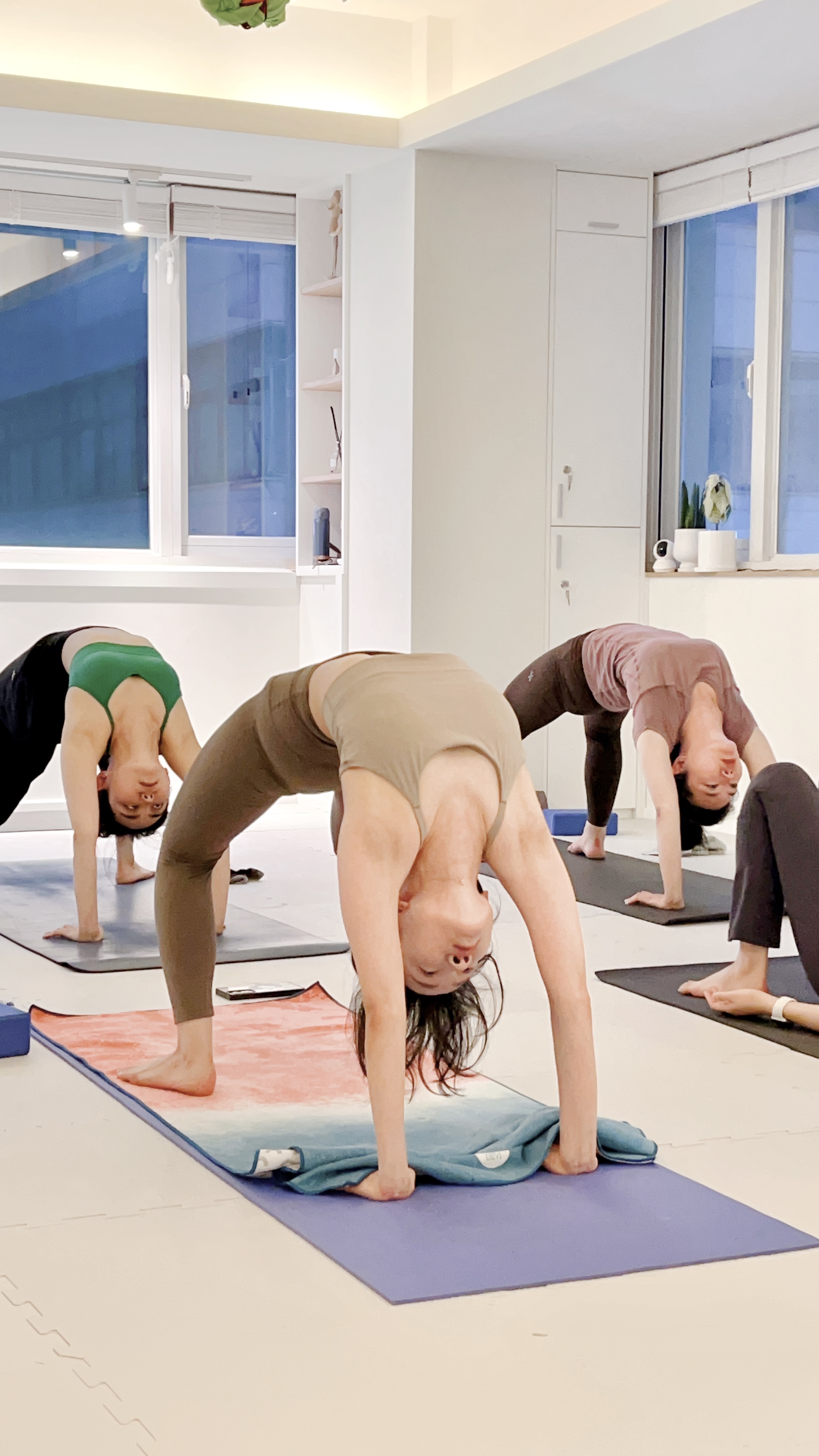 요기&요기니 대표 이미지