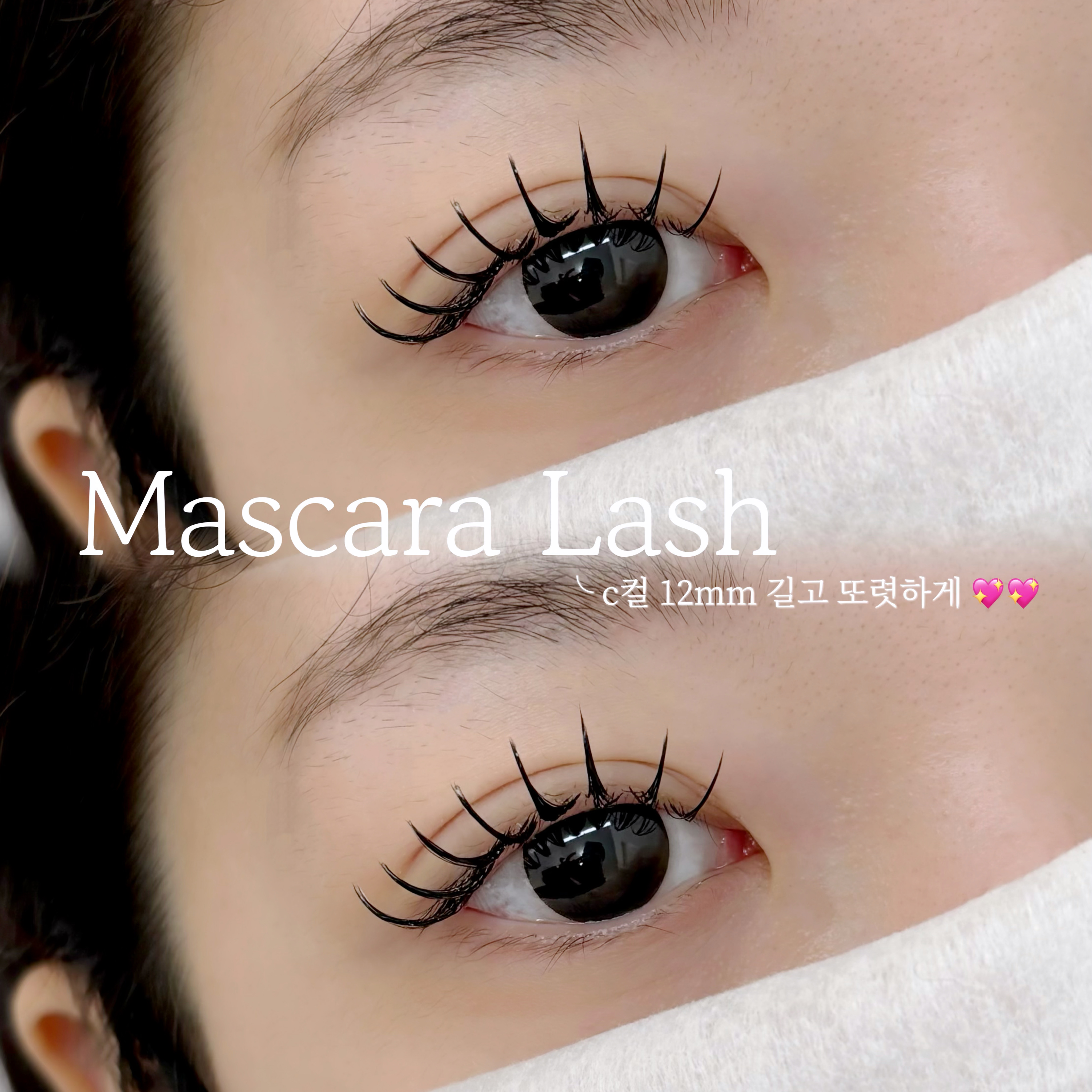 온아르뷰티 래쉬 대표 이미지