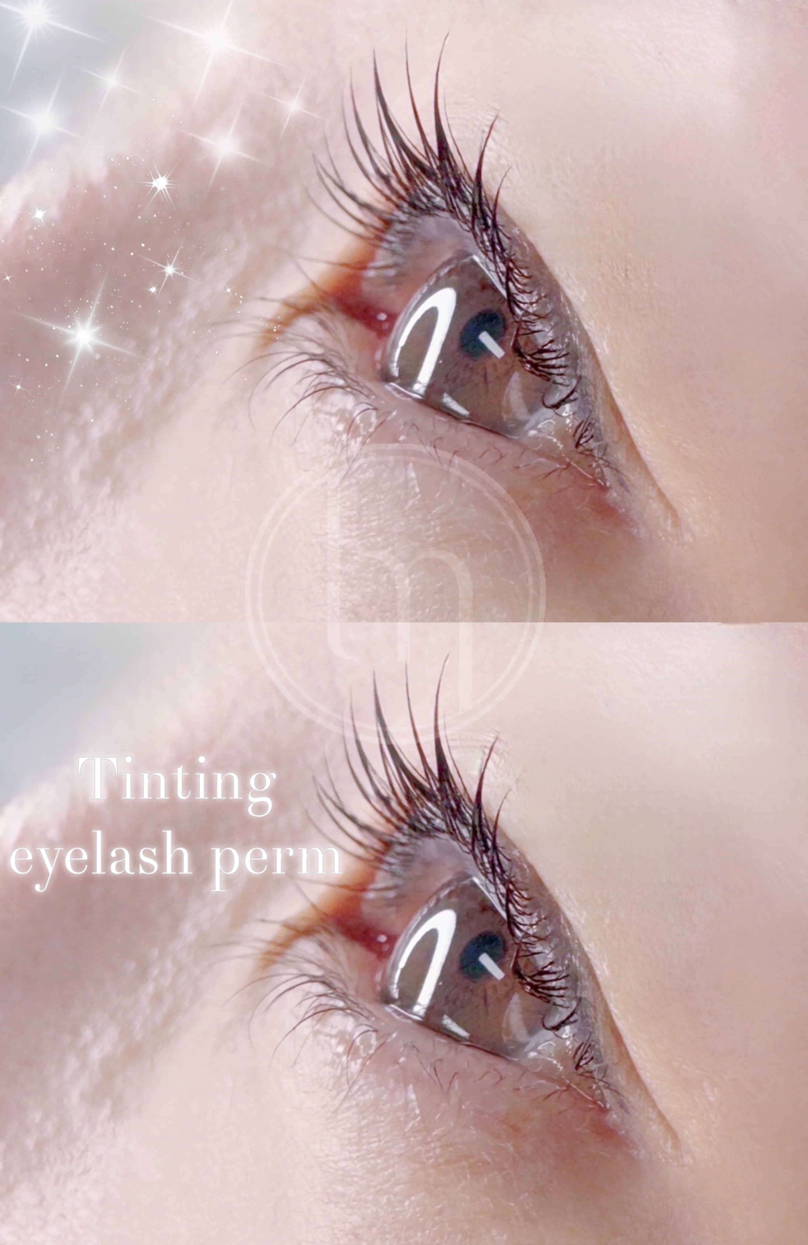 더모어 대표 이미지