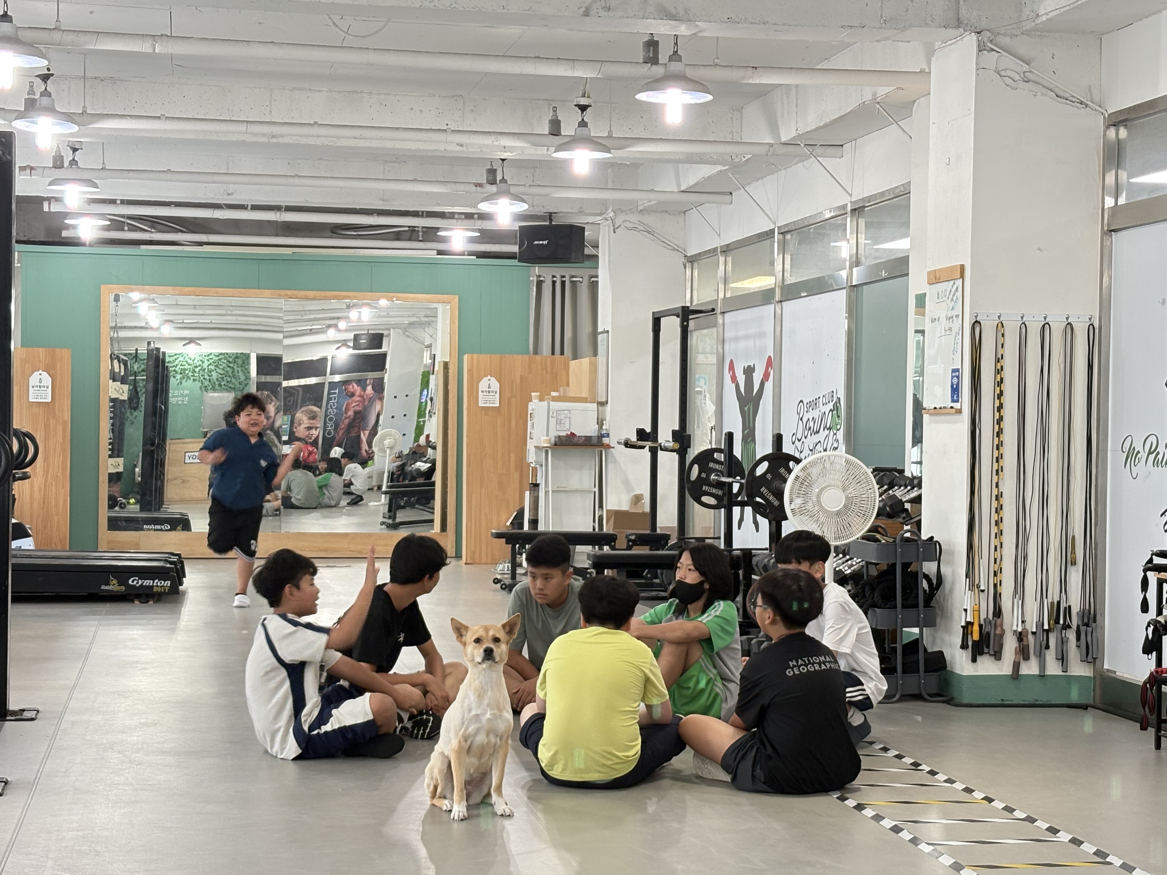 충청남도 아산시 모종로 복싱체육관 다인복싱짐 내부 모습 5