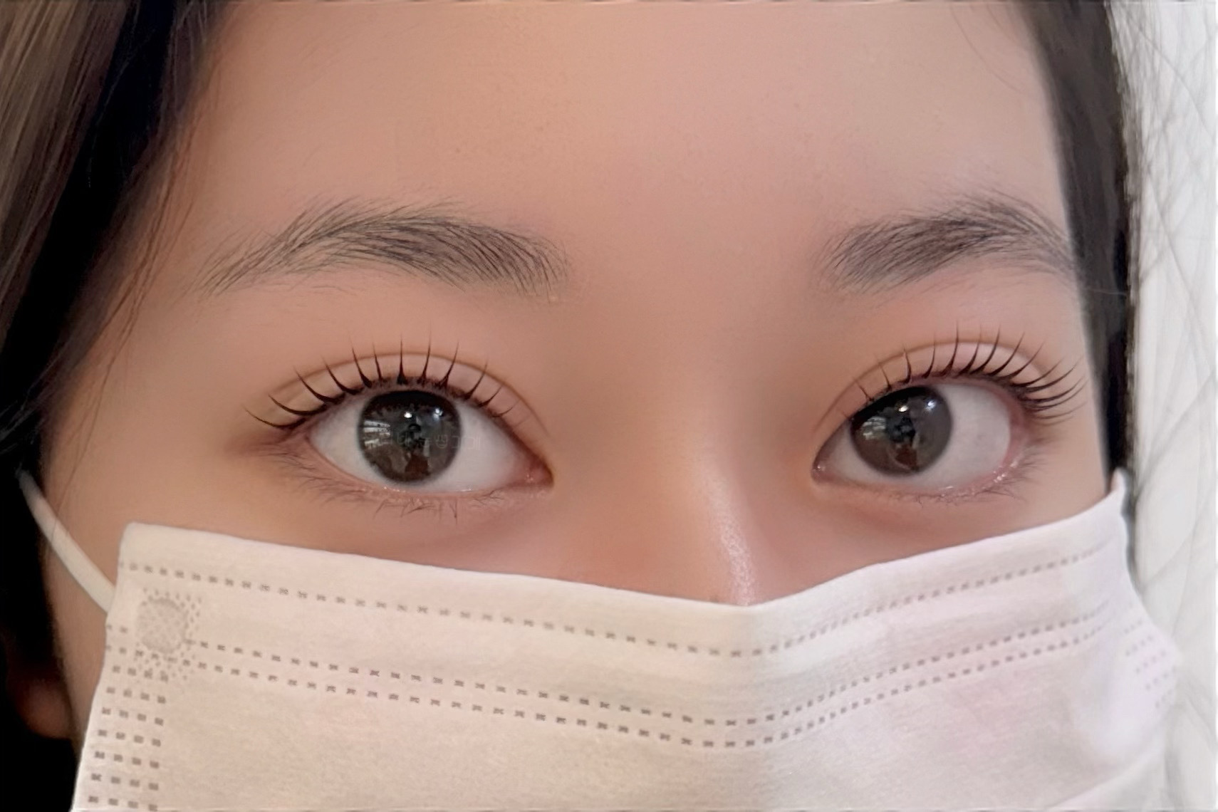 보리네눈썹가게 대표 이미지