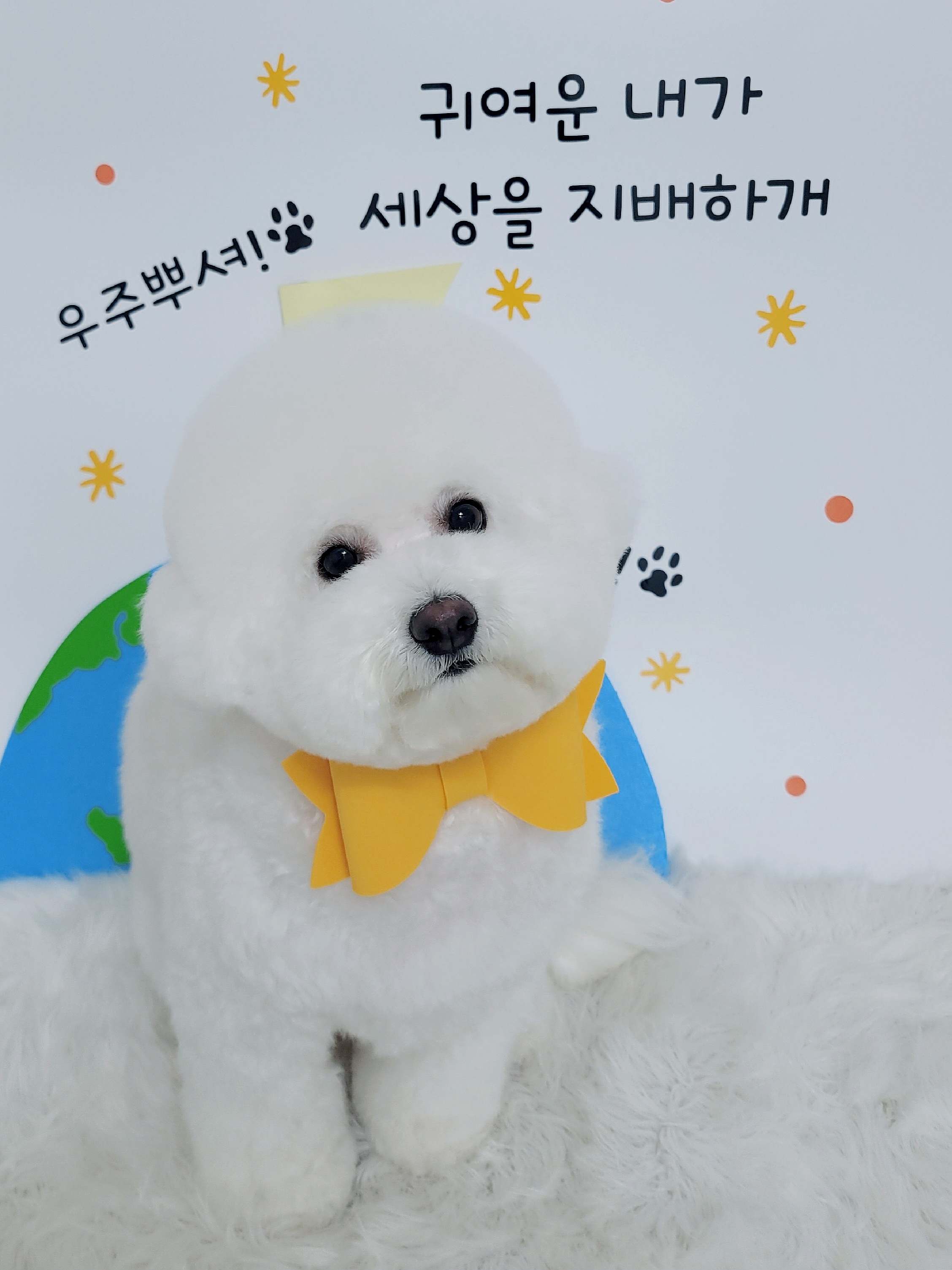 멍야옹실 대표 이미지