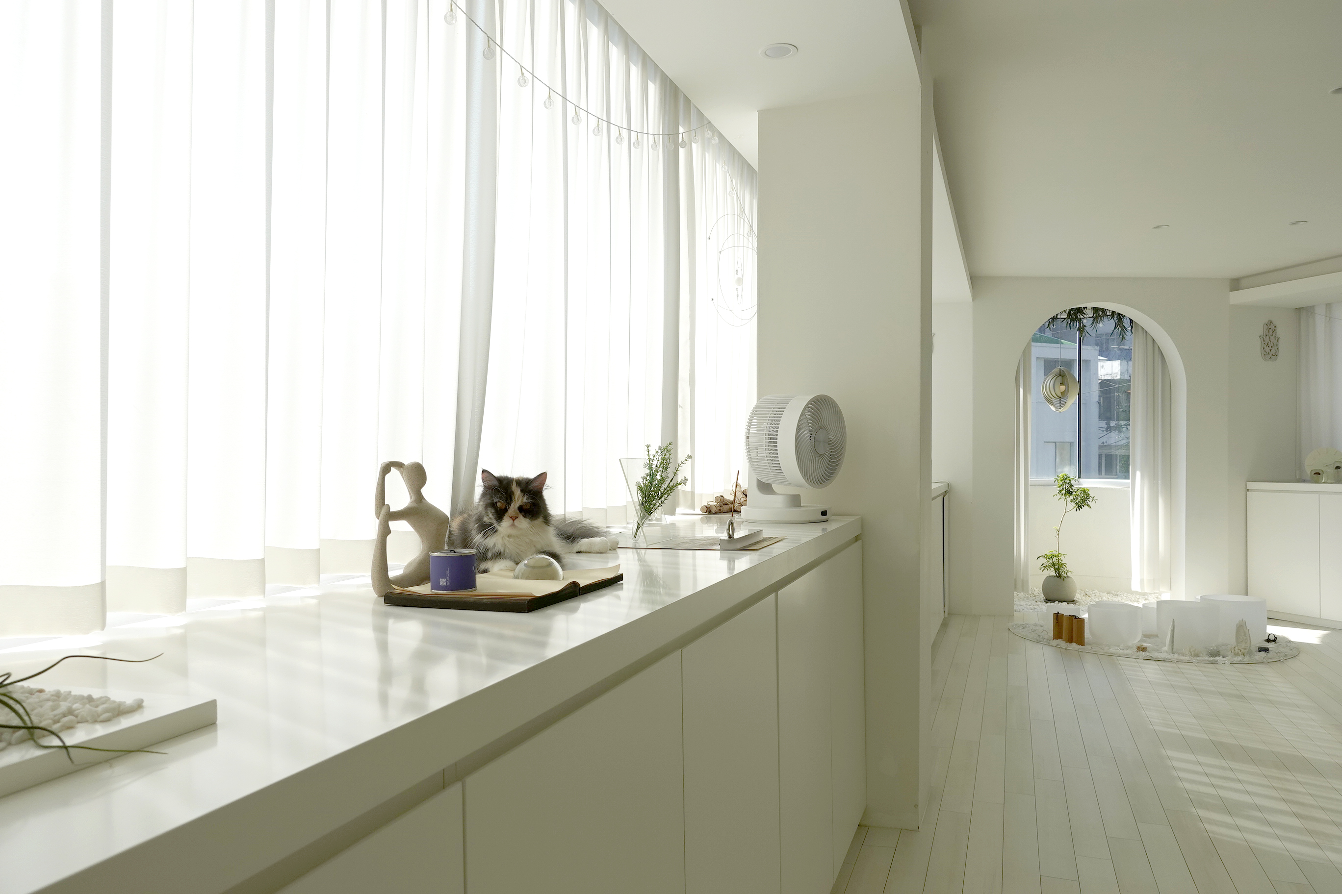 아우어리 요가 대표 이미지