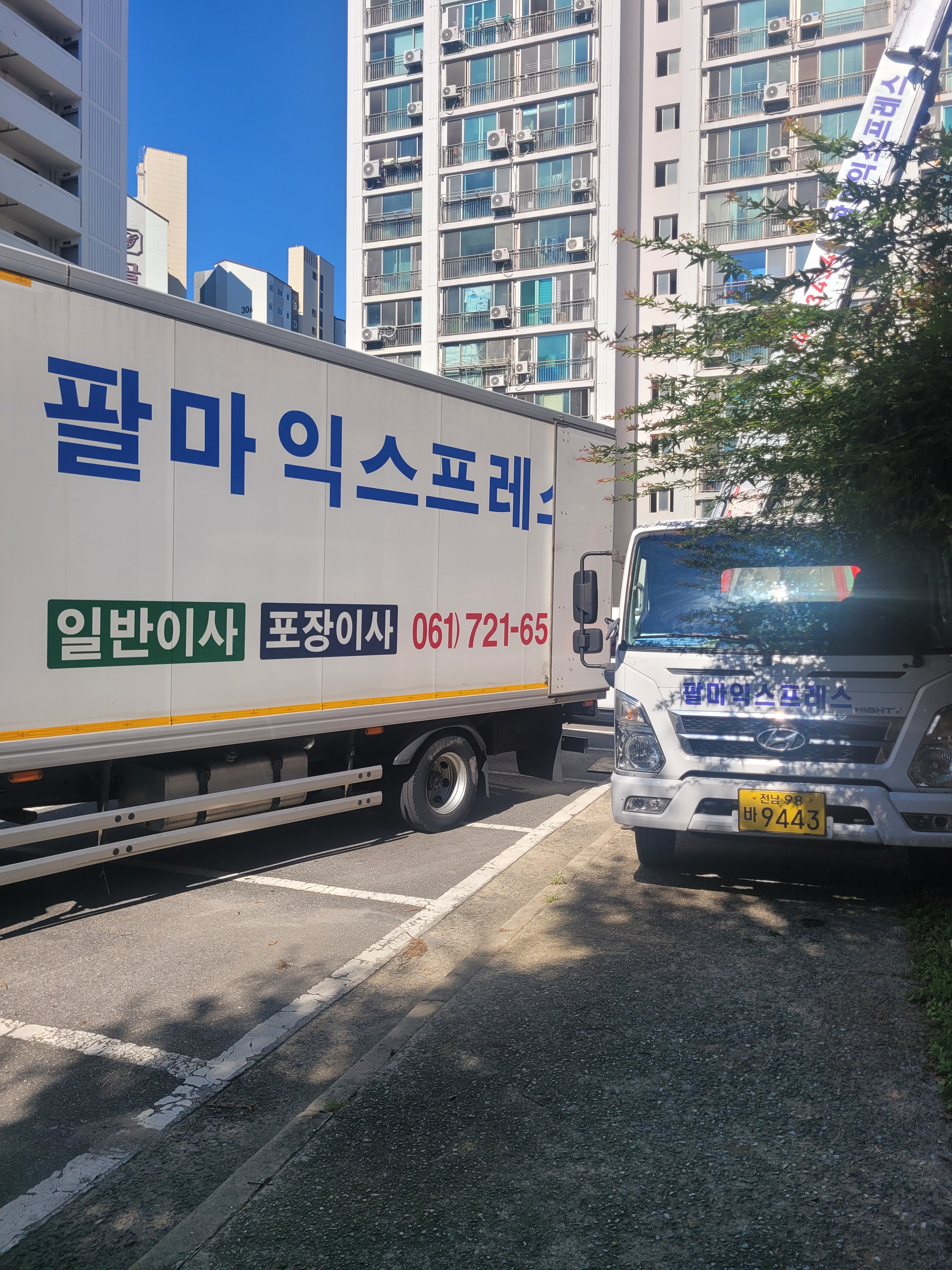팔마익스프레스 대표 이미지