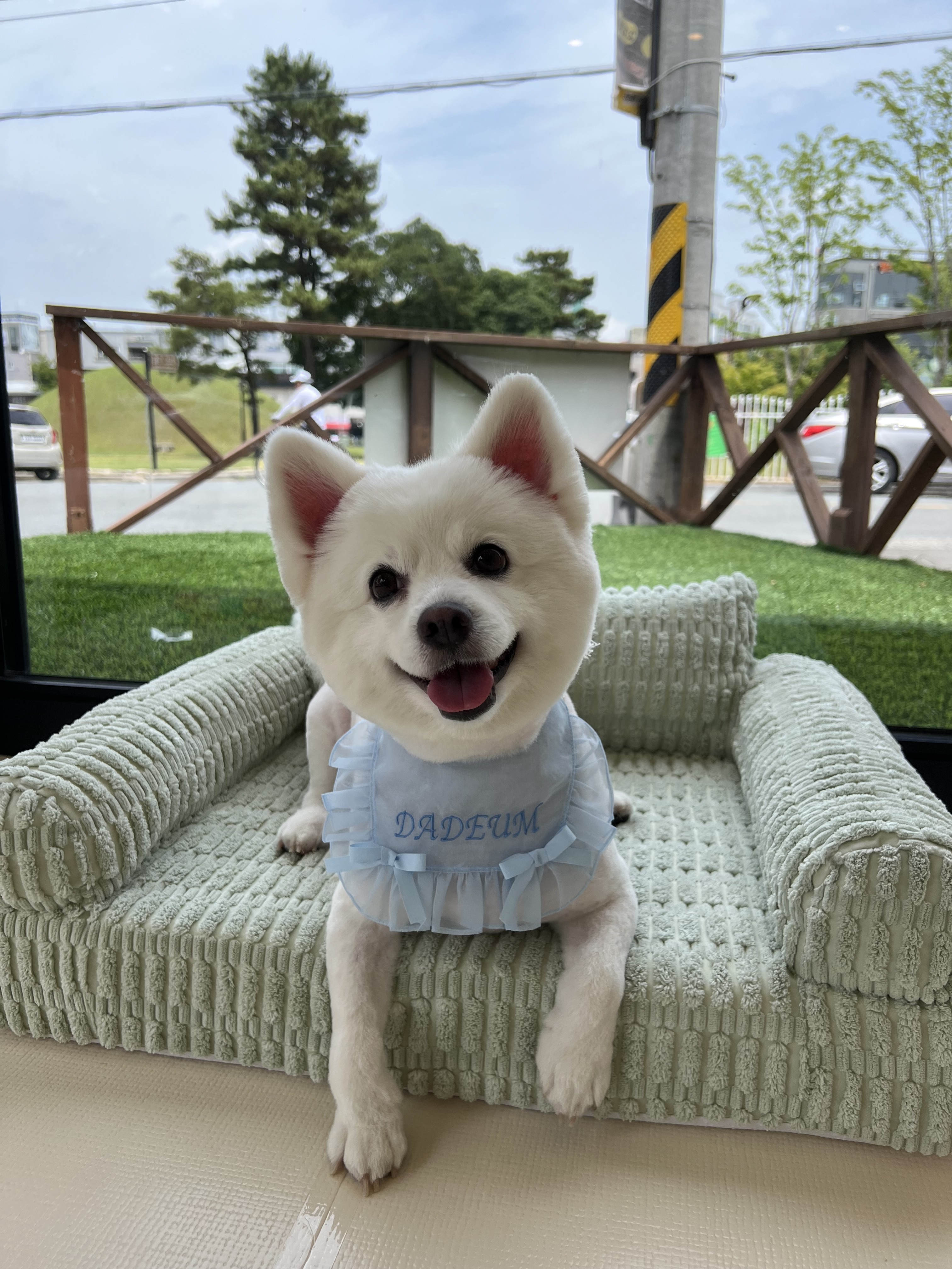 다듬 대표 이미지