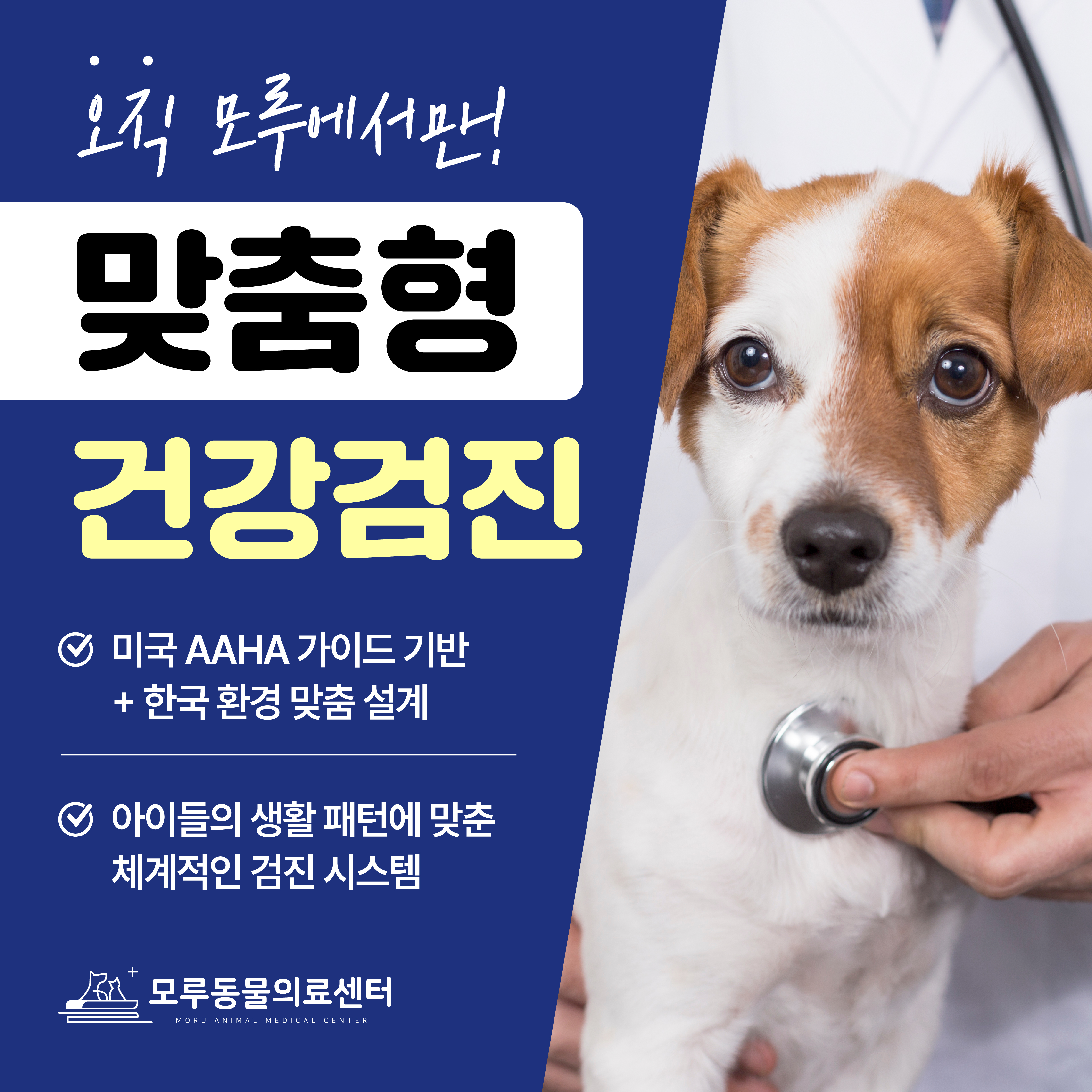 모루 동물의료센터
