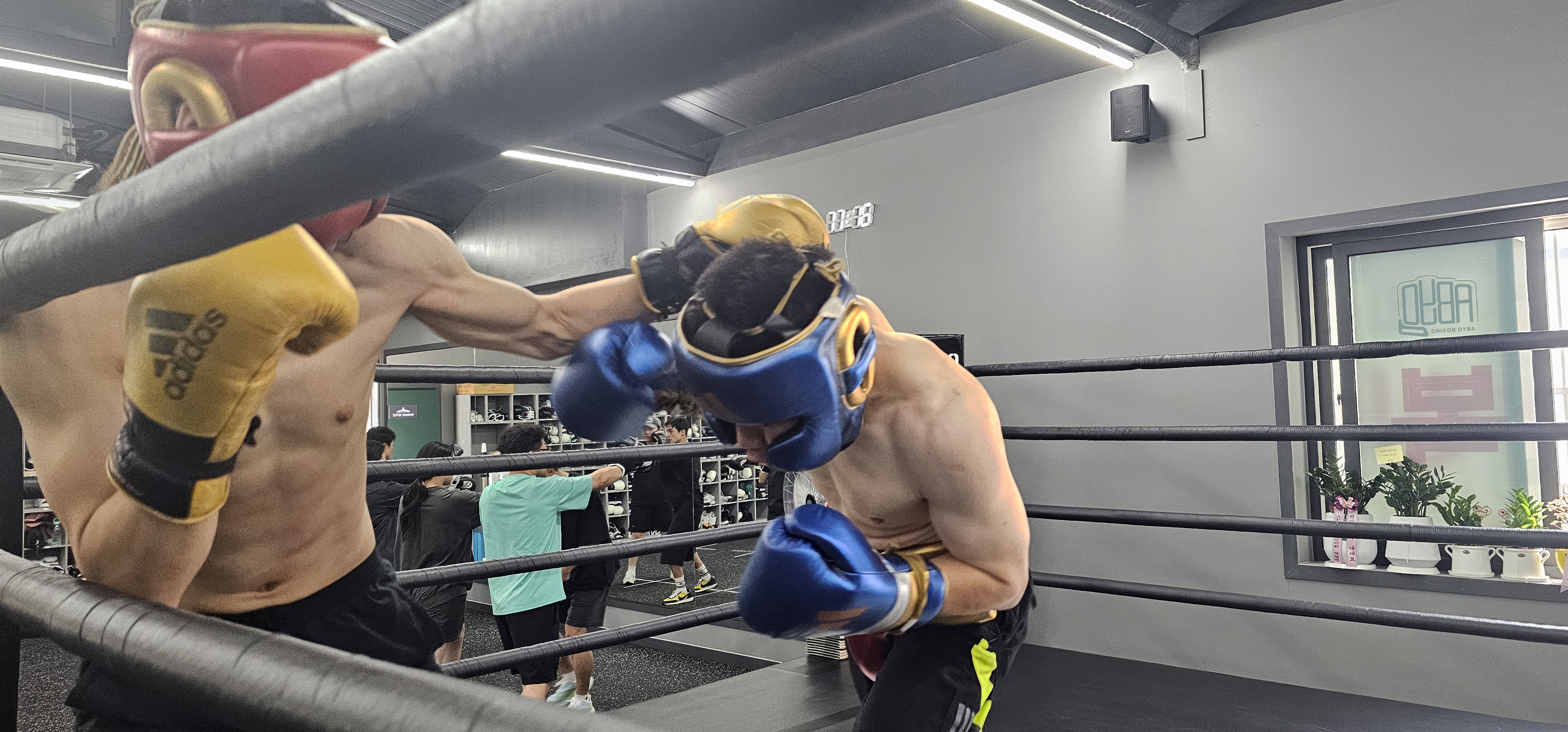 부산 북구 백양대로 복싱체육관 우리동네 BOXING GYM 내부 모습 3