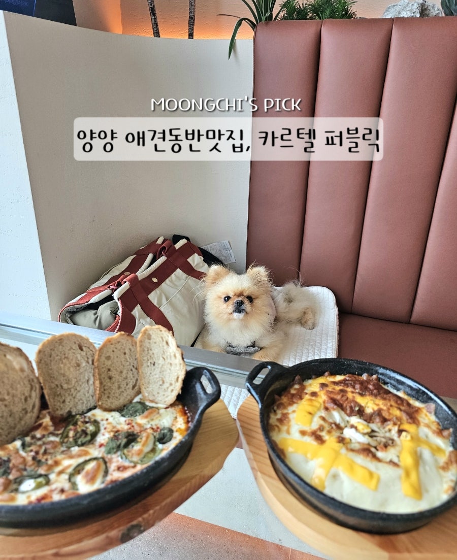 카르텔퍼블릭 2