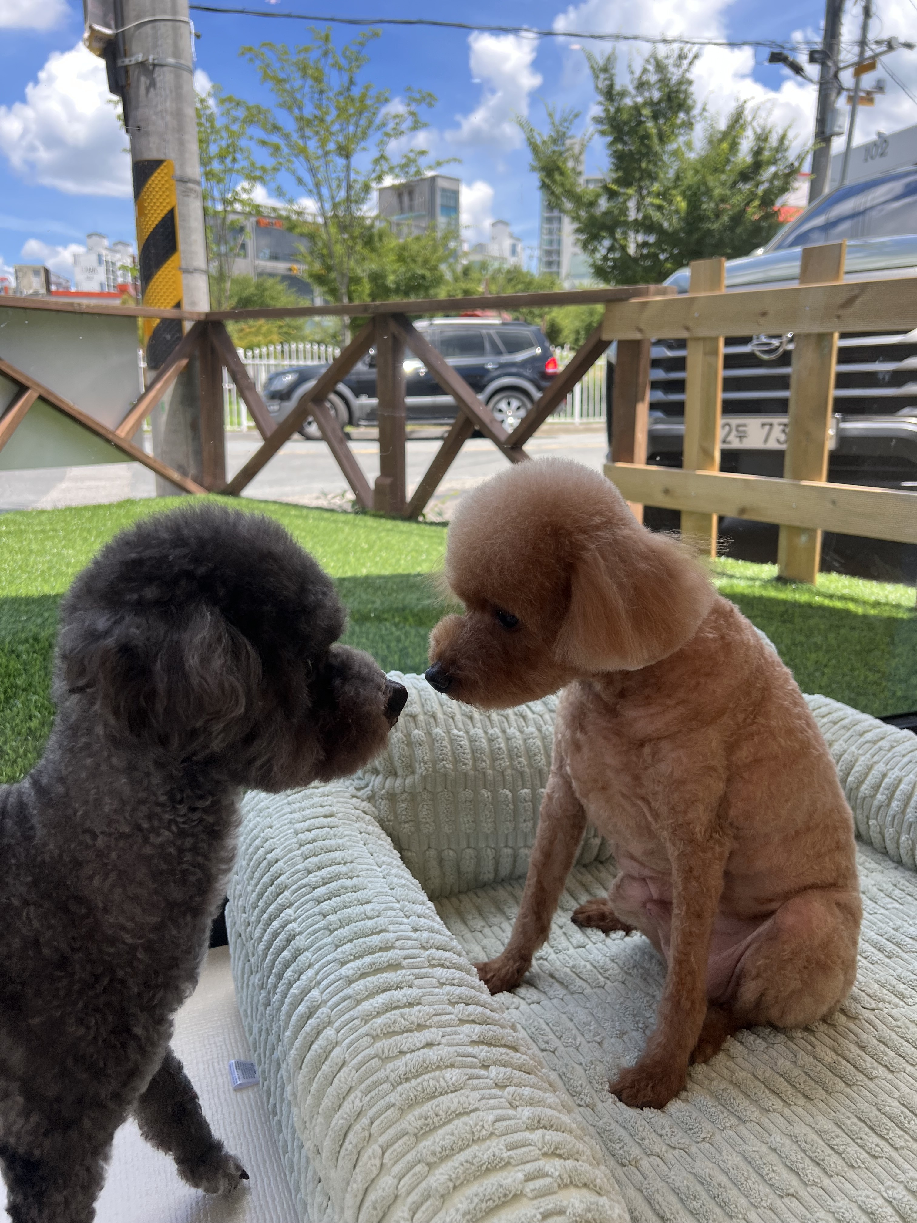 다듬 대표 이미지