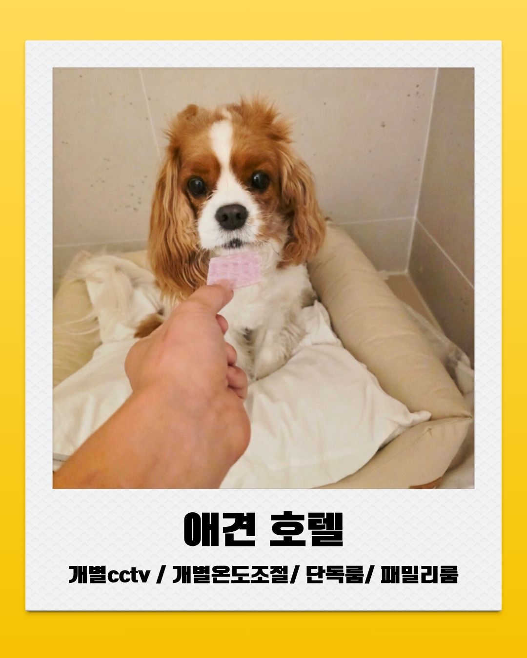 멍파 강남점 대표 이미지