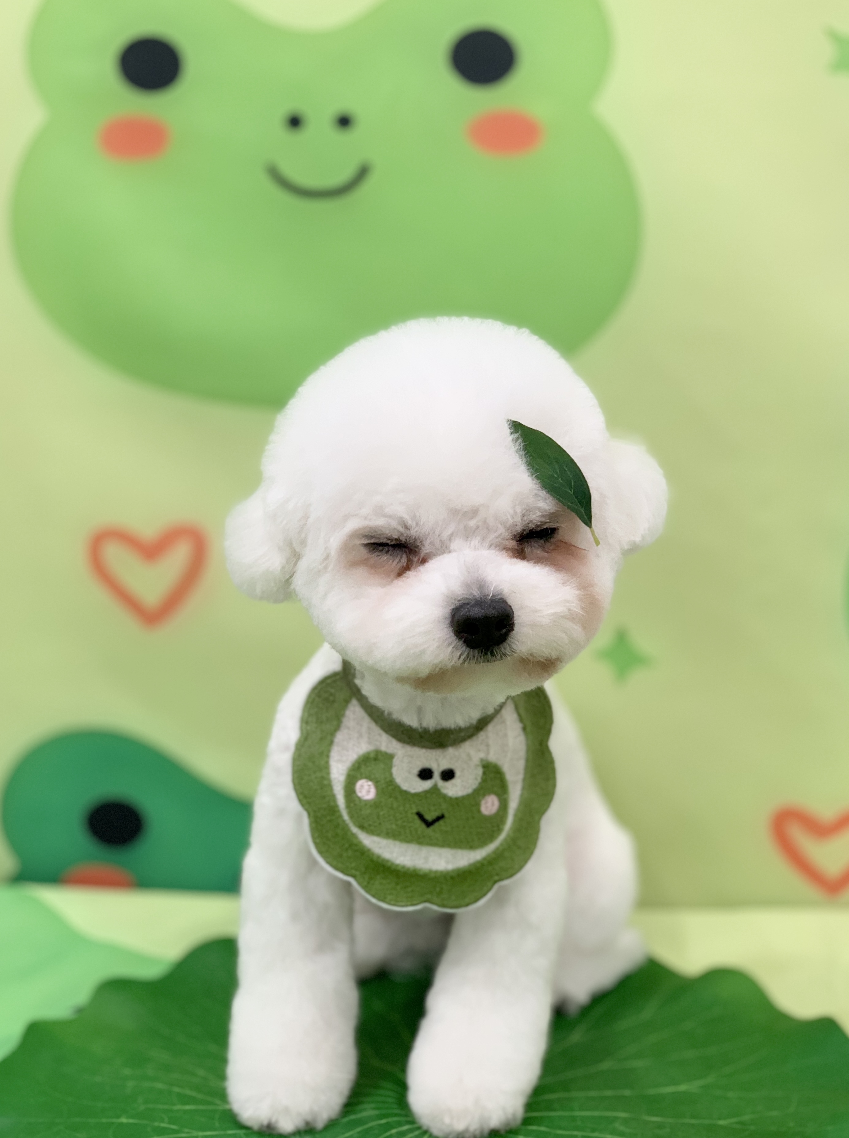 다온그루밍 대표 이미지