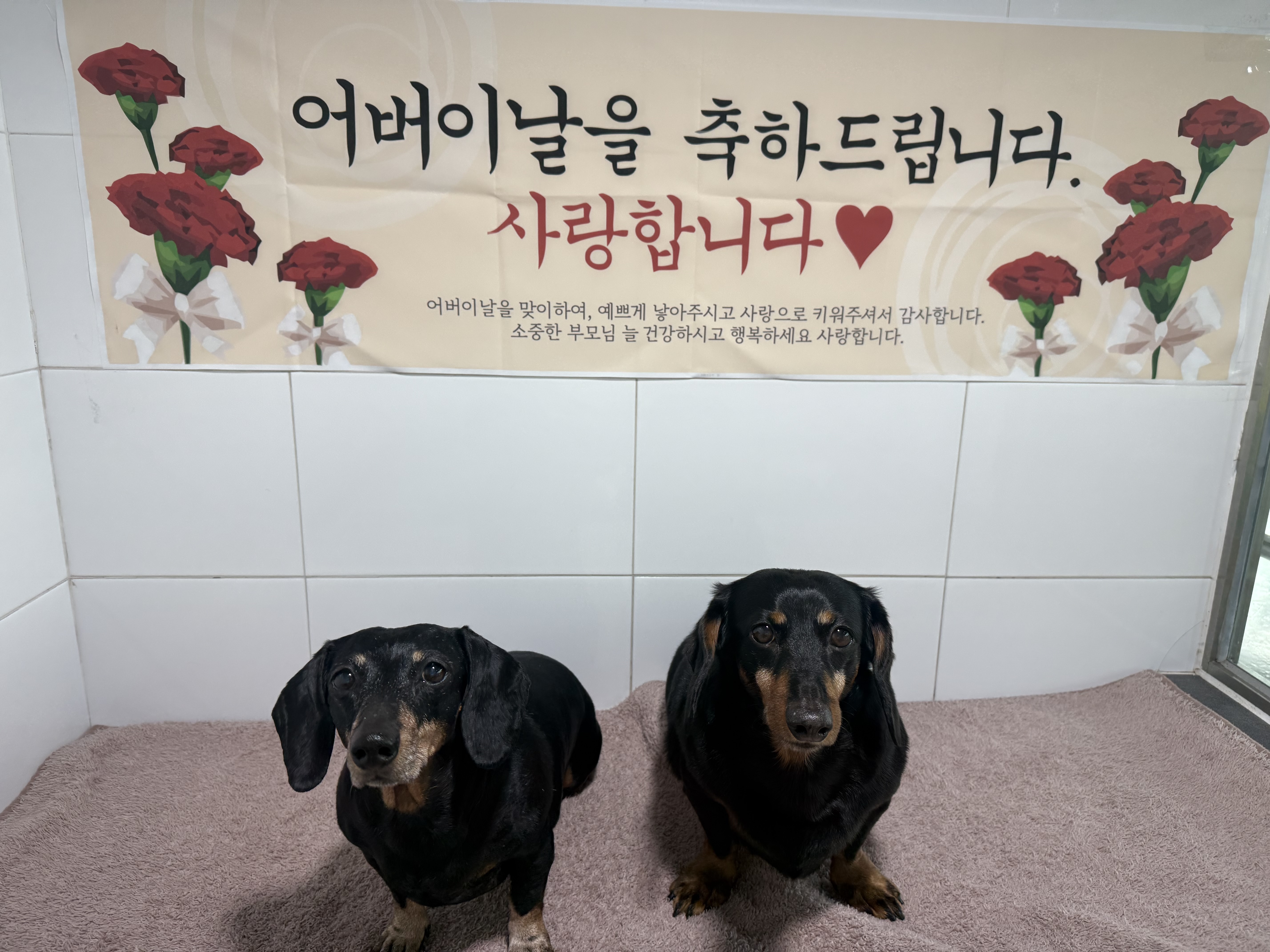 아리엘언니 2