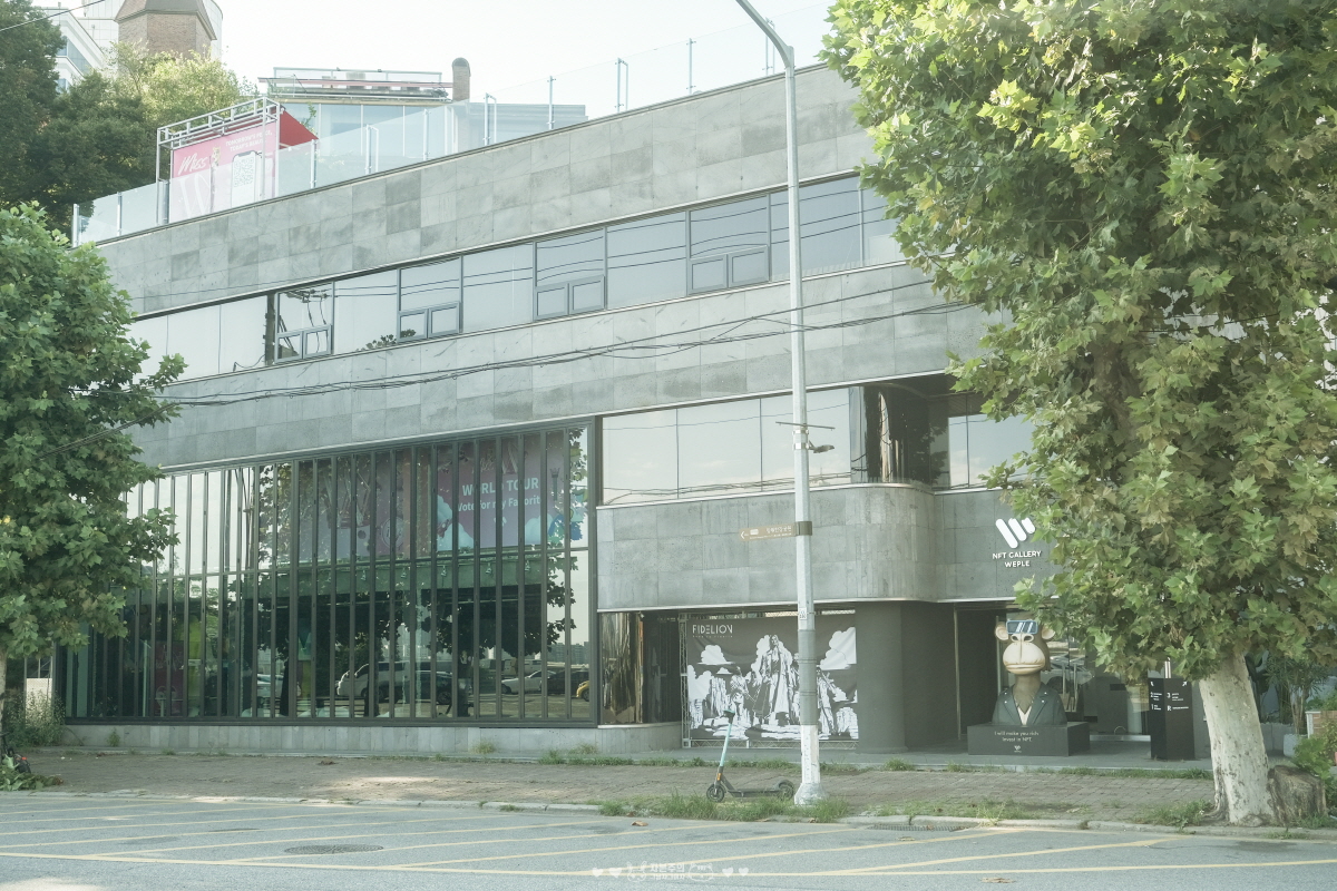 뉴가닉테라피 용산점 photo 5