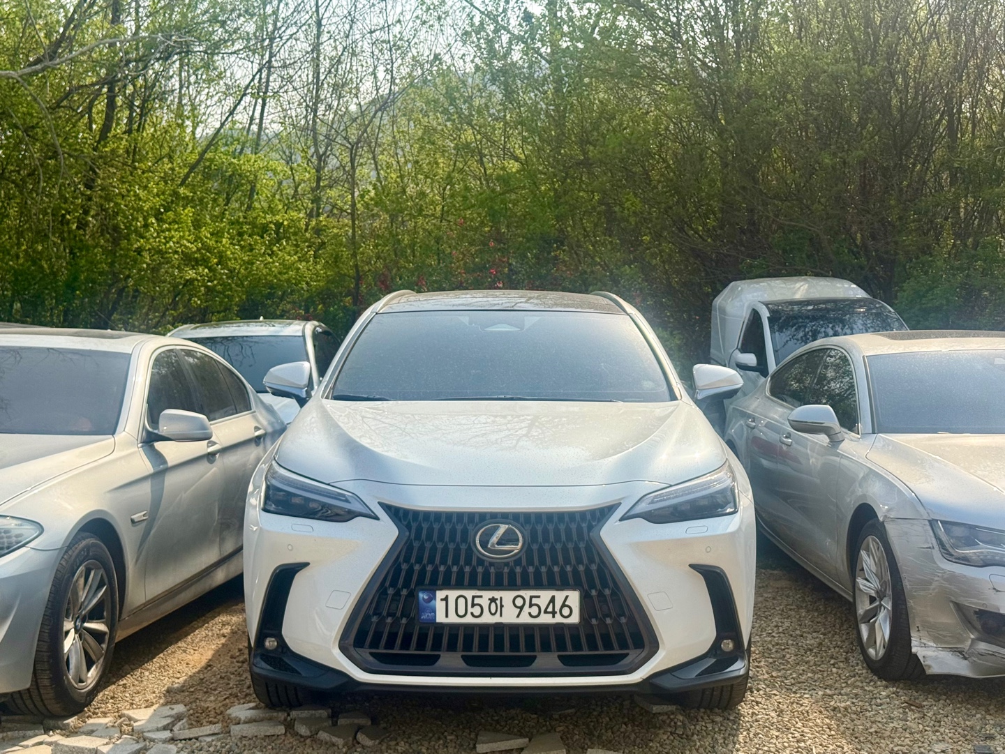 뉴드림렌트카 대표 이미지