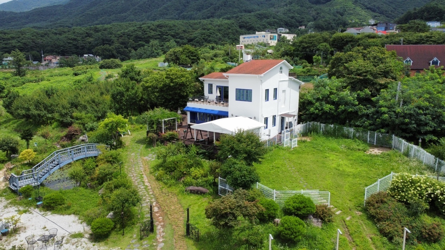 컴투펫위탁보호센터 서울점 4