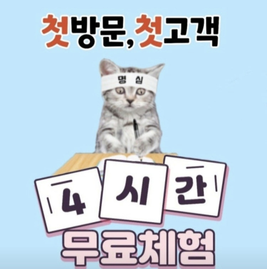업체사진