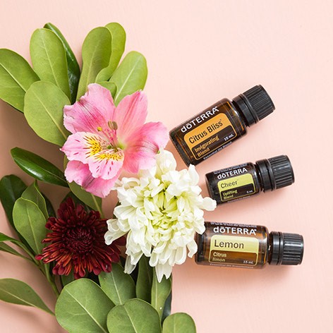 도테라 아로마 헤드스파 본점 대표 이미지