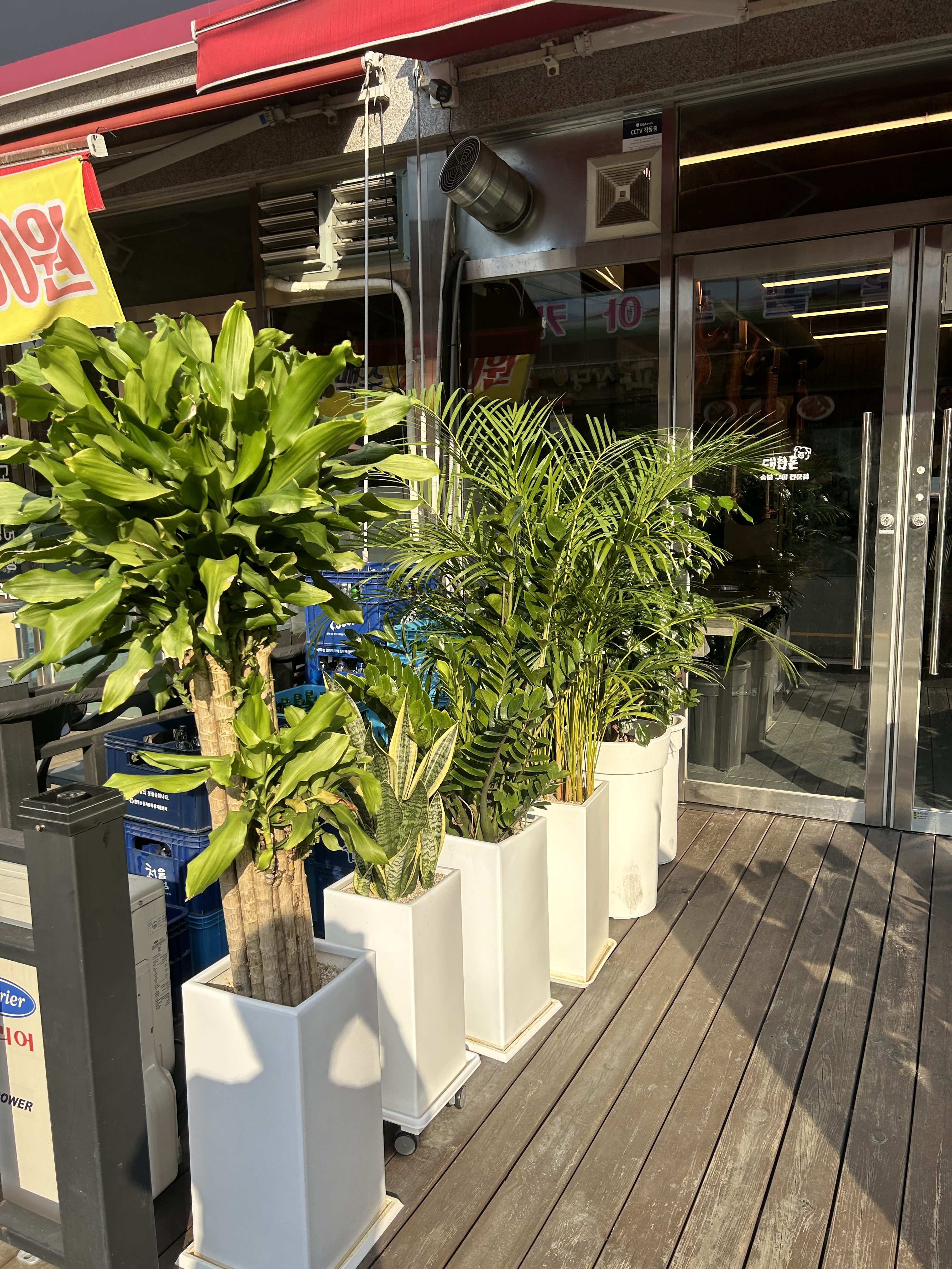 대천돈 대표 이미지