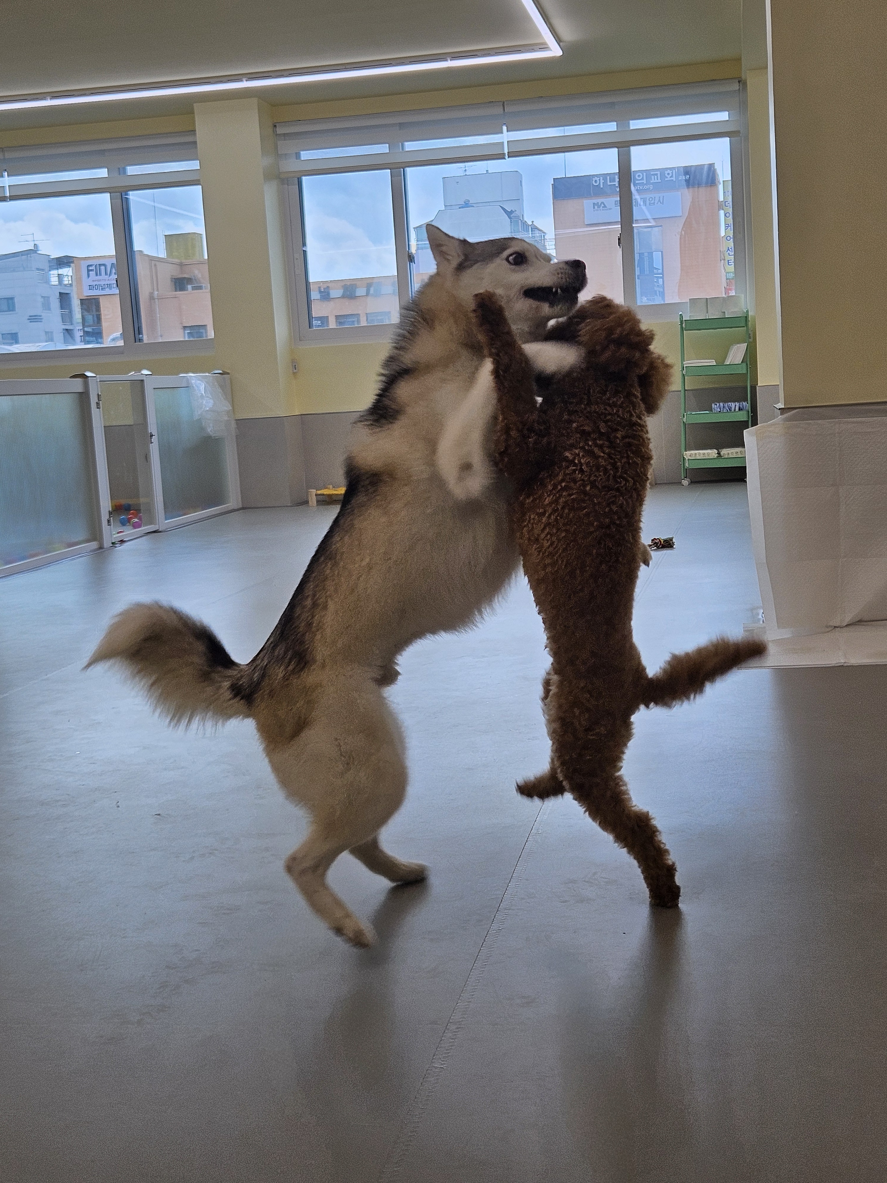 오늘도개조아 대표 이미지