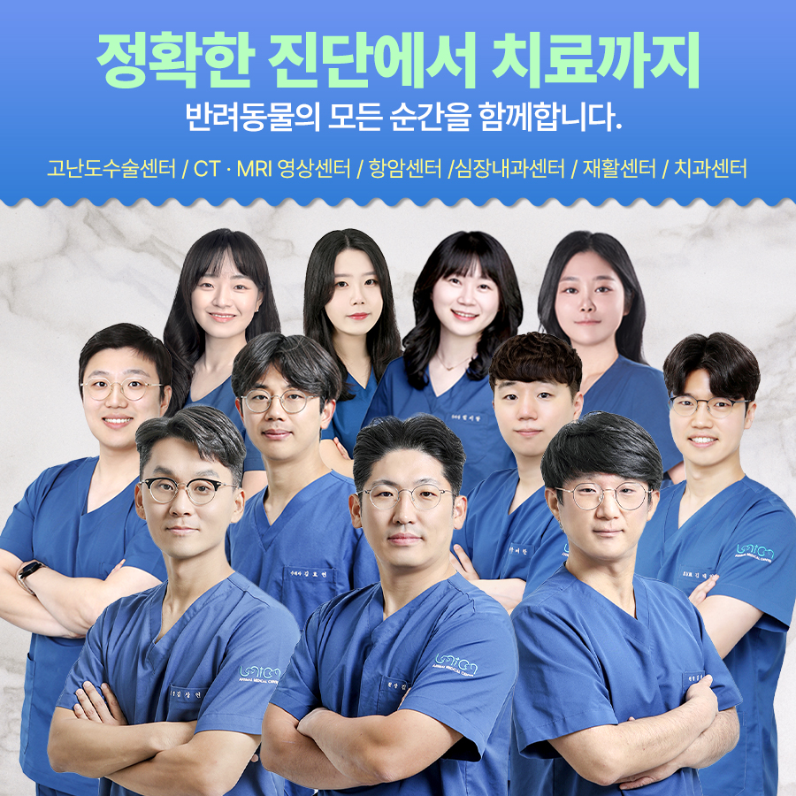 유니온동물메디컬센터