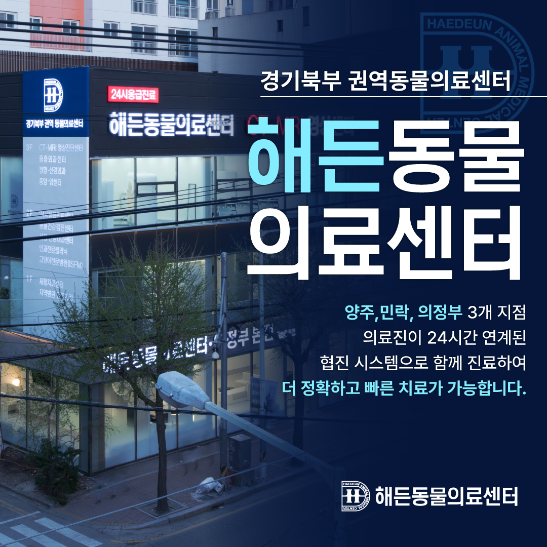 24시해든동물의료센터 의정부점
