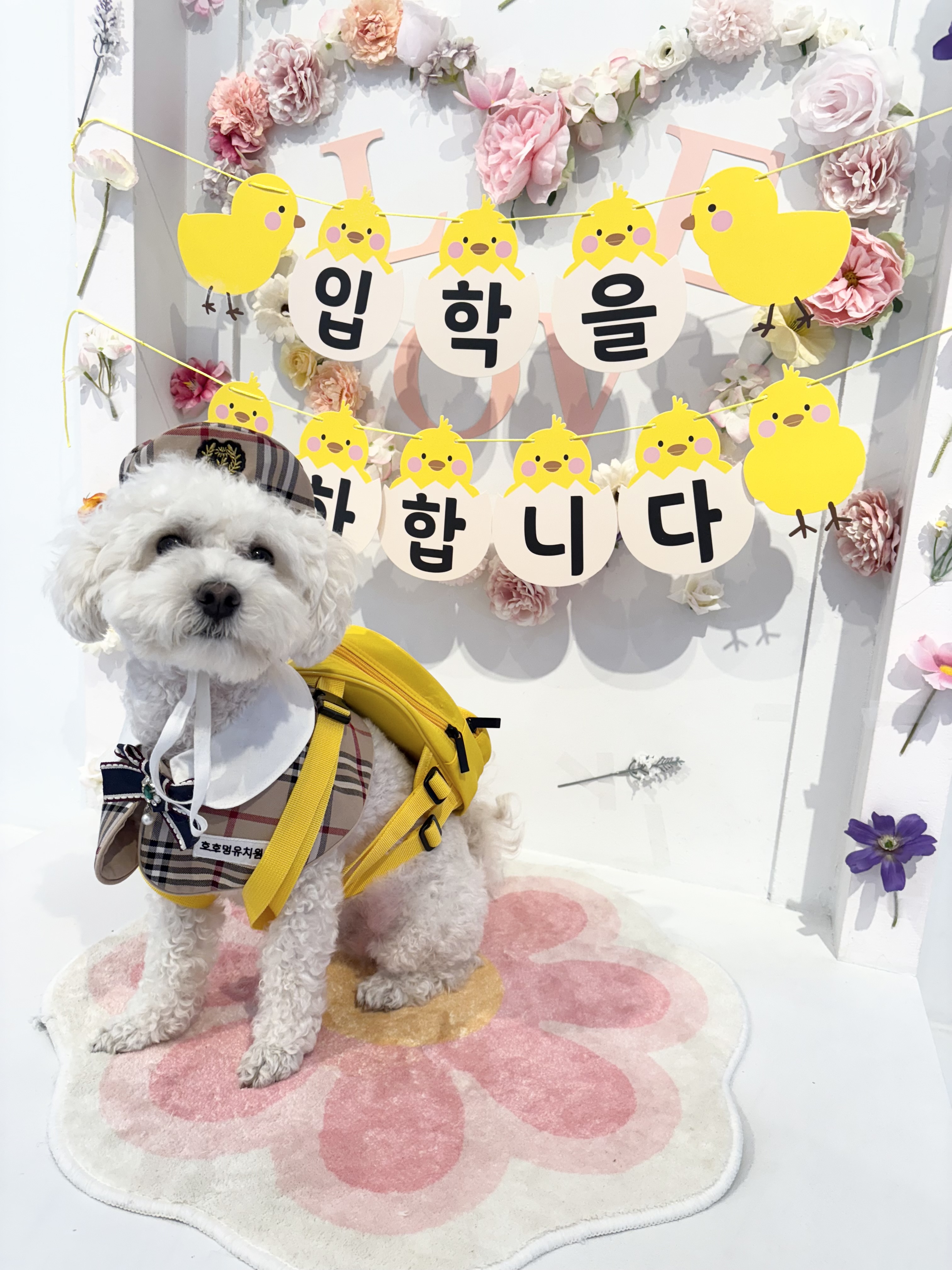 호호멍 대표 이미지