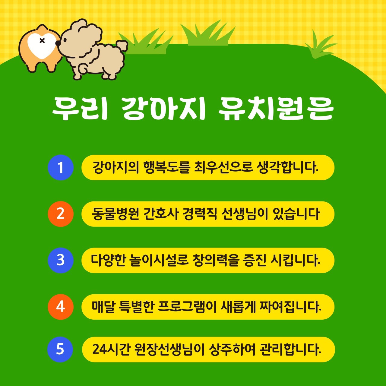 우리 강아지 유치원 대표 이미지