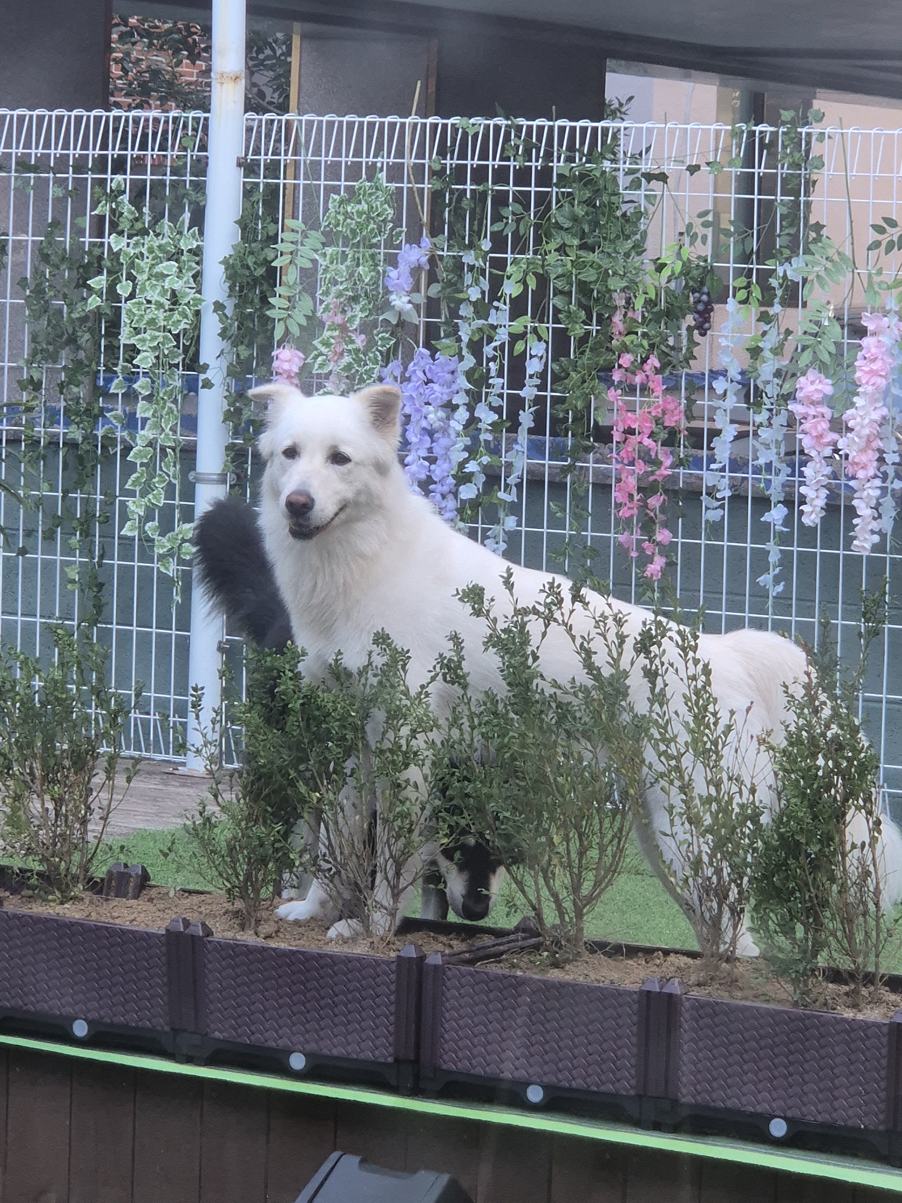 사진 2