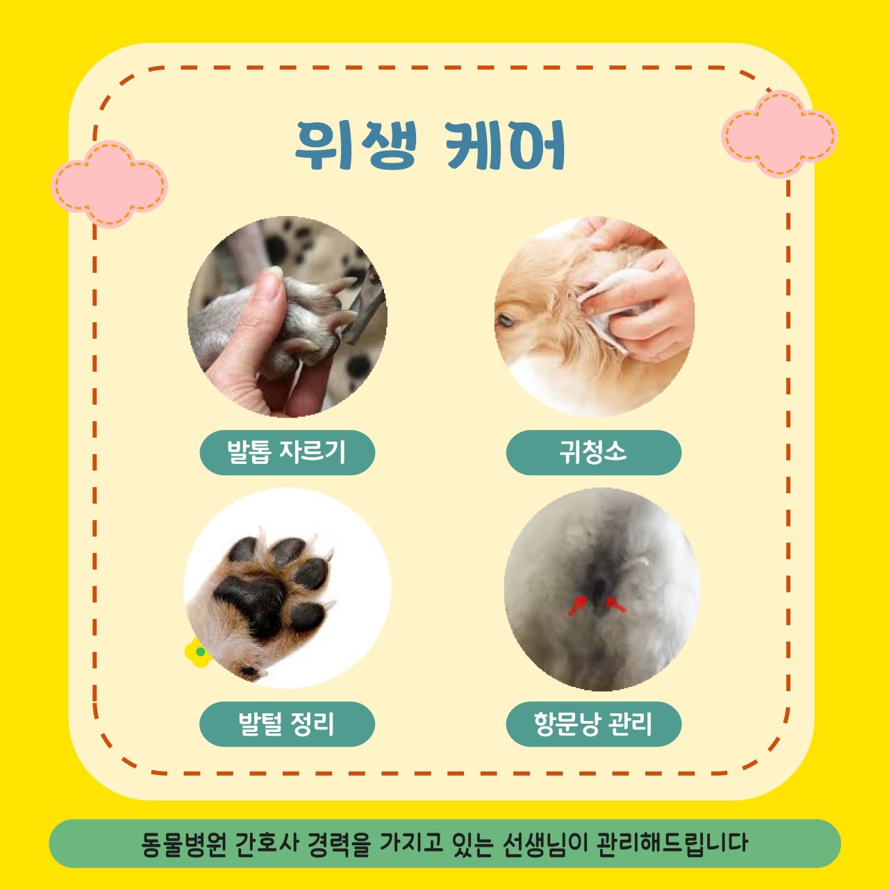 우리 강아지 유치원 대표 이미지