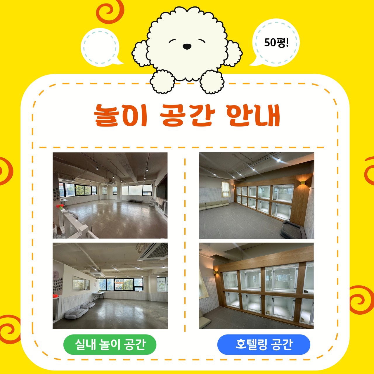 우리 강아지 유치원 대표 이미지