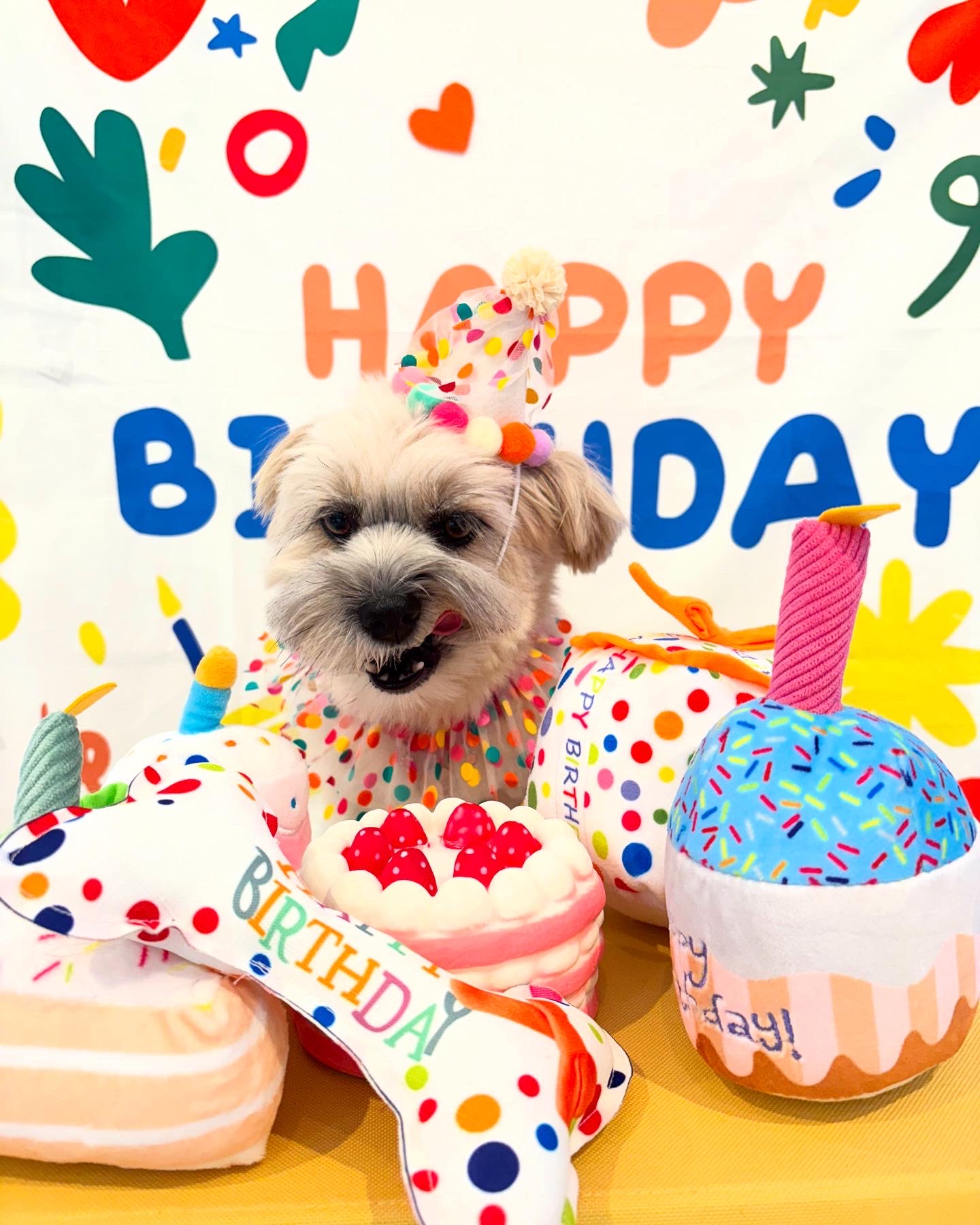 호호멍 애견유치원&카페 대표 이미지